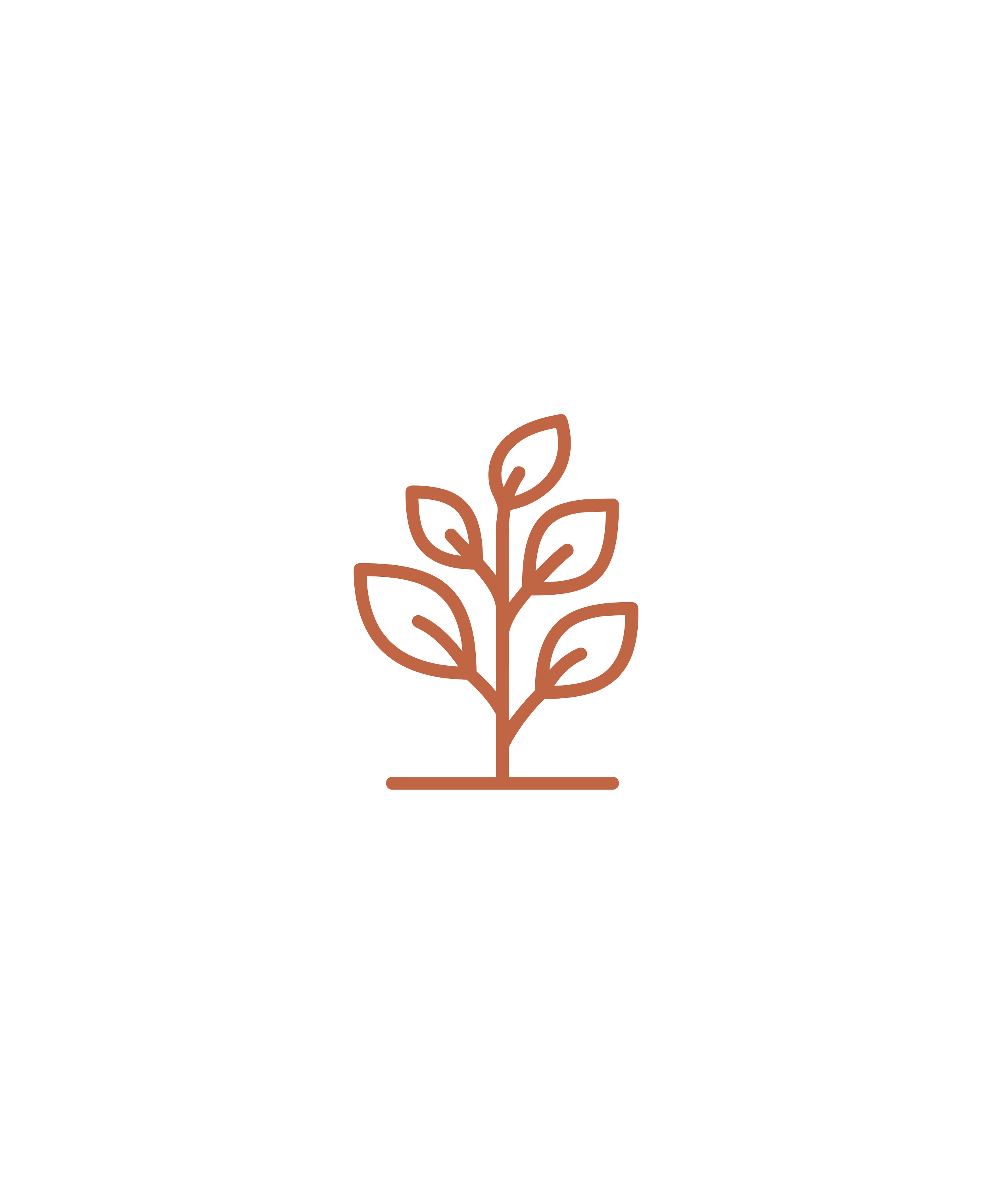 An outline illustration of a small plant growing from the ground, representing growth and local roots, by OLA Creative Studio