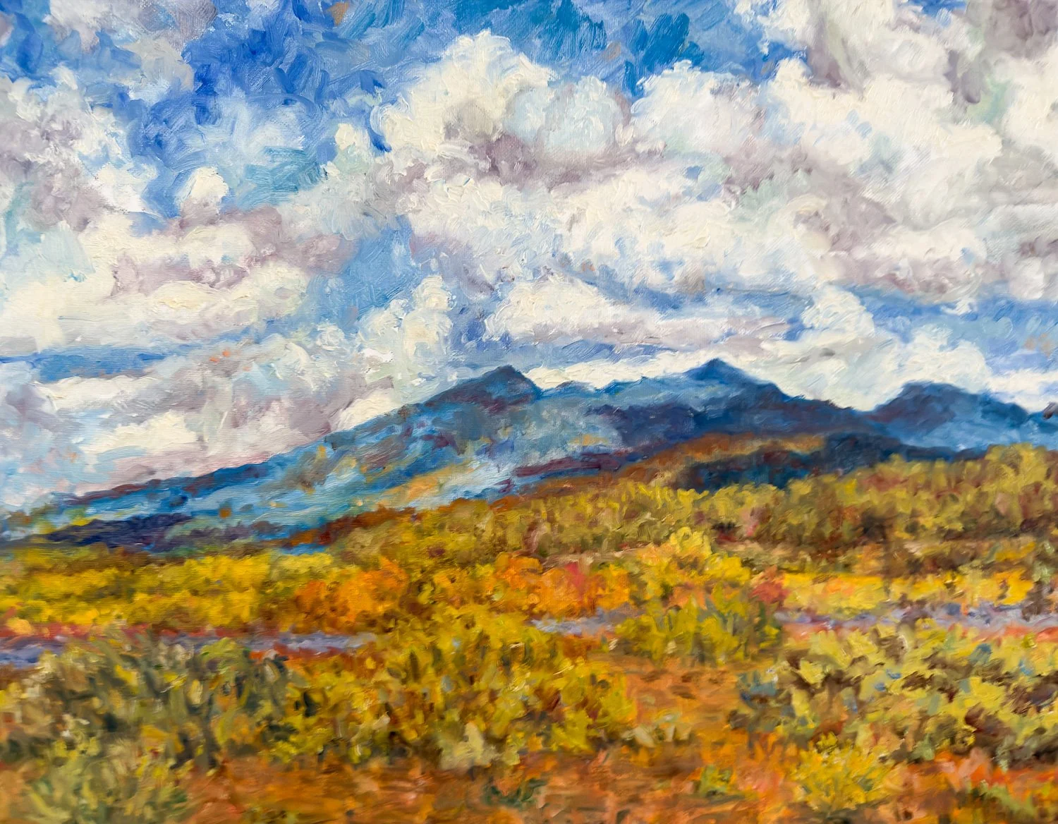 “Twin Peaks, Flagstaff”
16X20
$600
