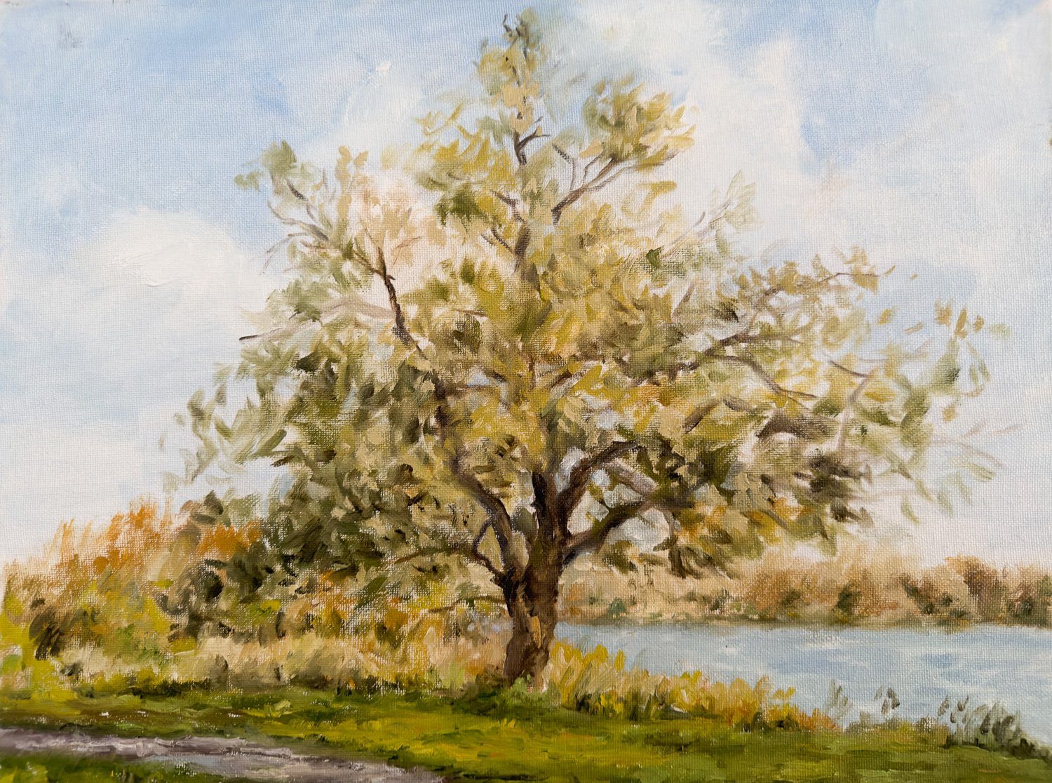 “The Serene Tree”
14X18
$600