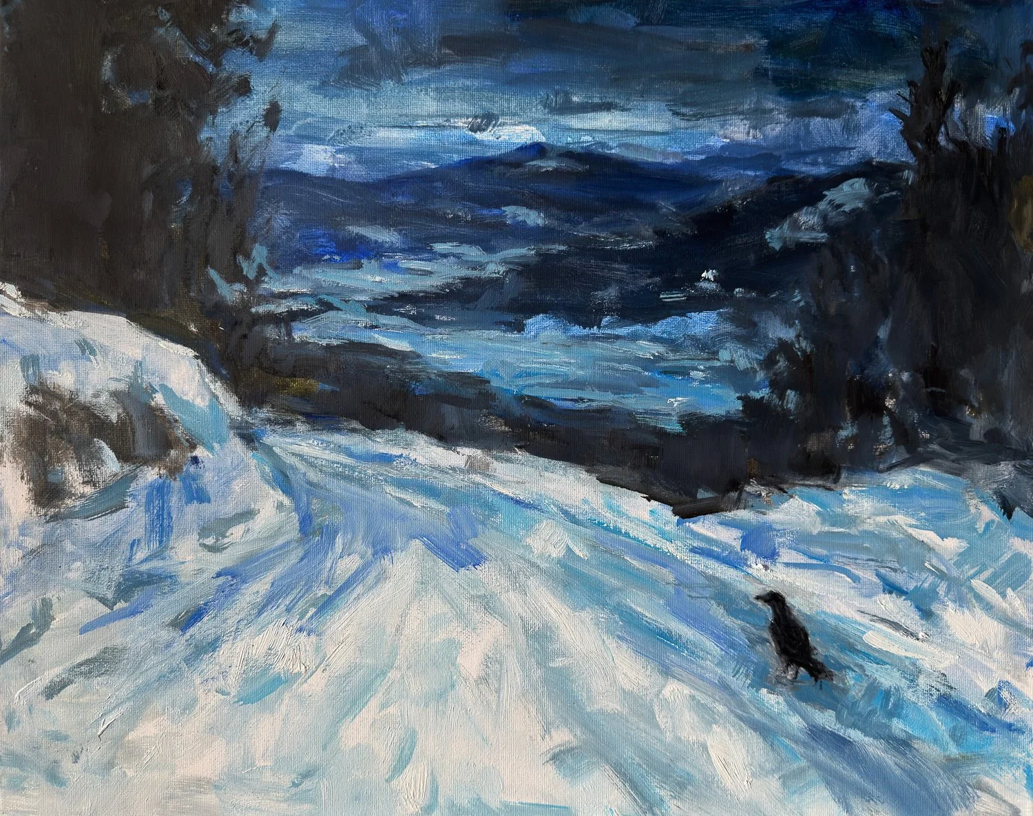 “The Black Raven”
16X20
$950
