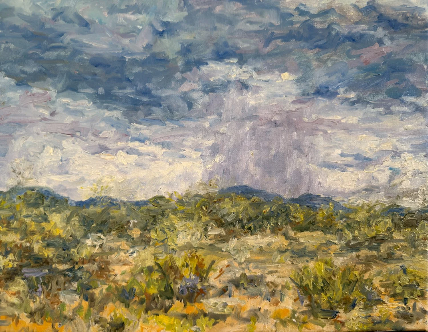 “Desert Rain”
12X16
$650