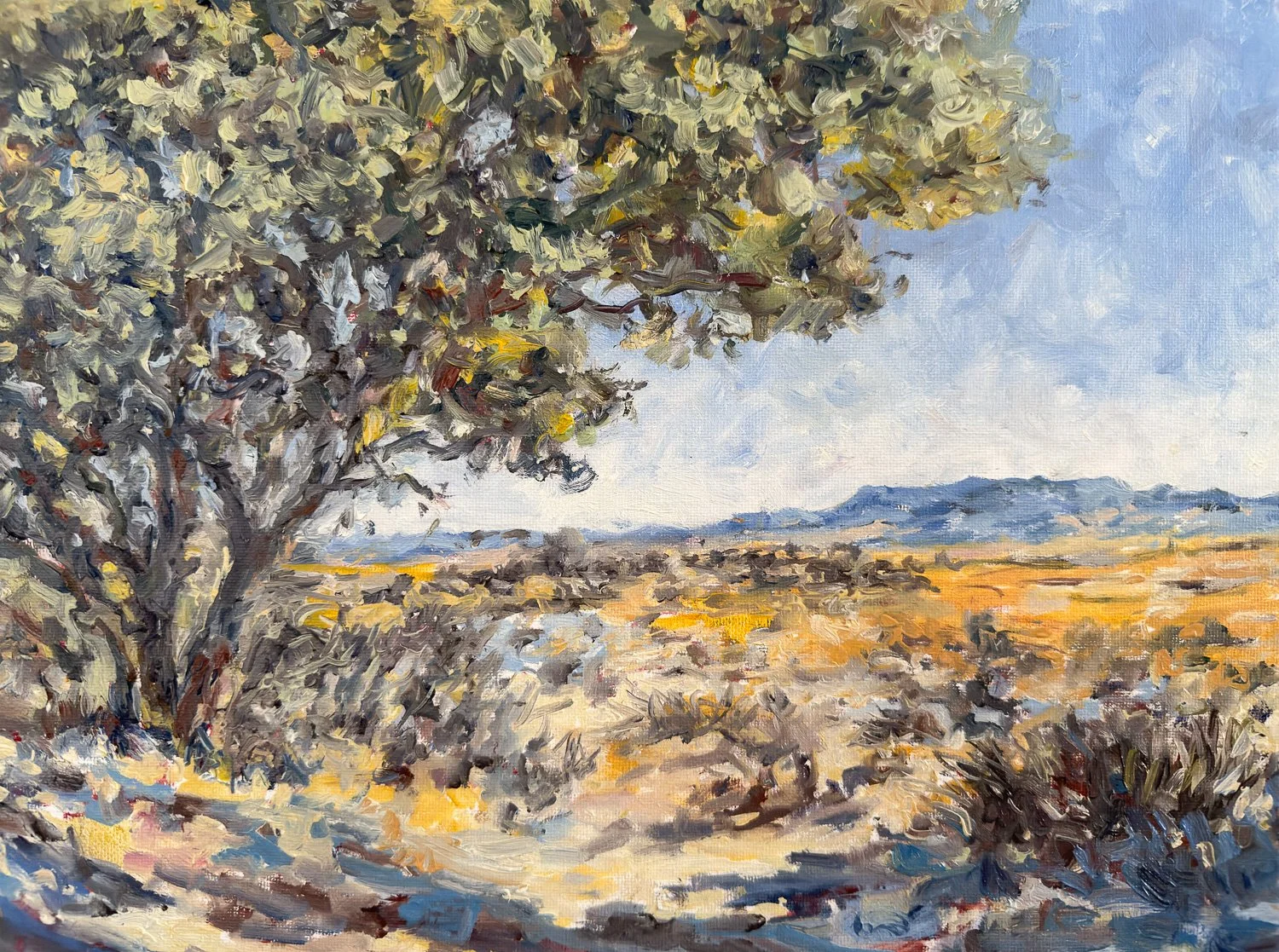 “New Mexico Horizon”
12X16
$500