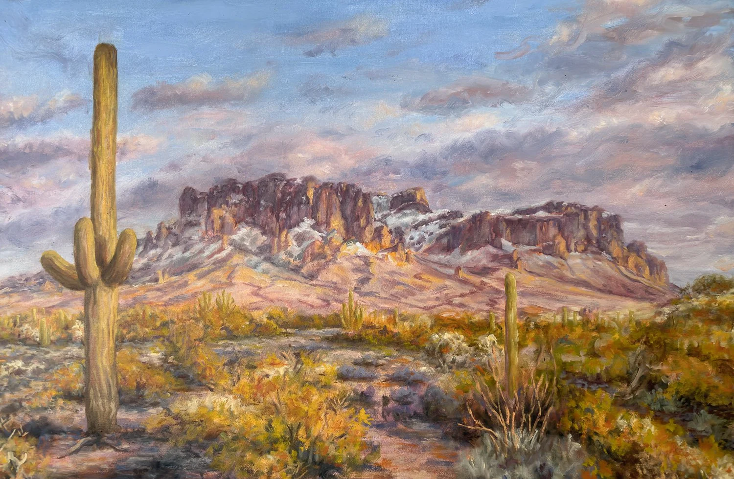 “Saguaro & Snow”
24x36
$2,200