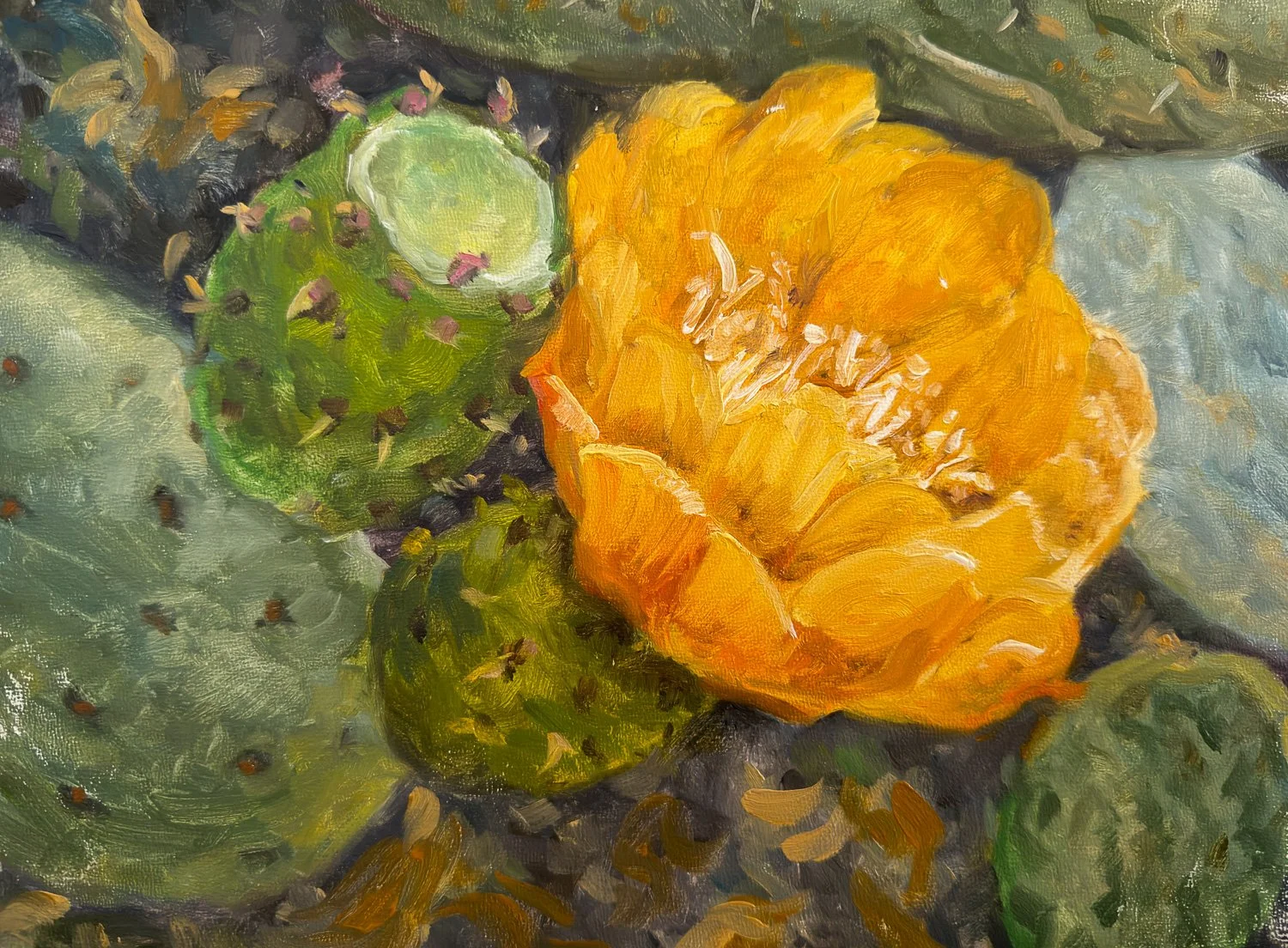 "Desert Bloom"
9x12
$450