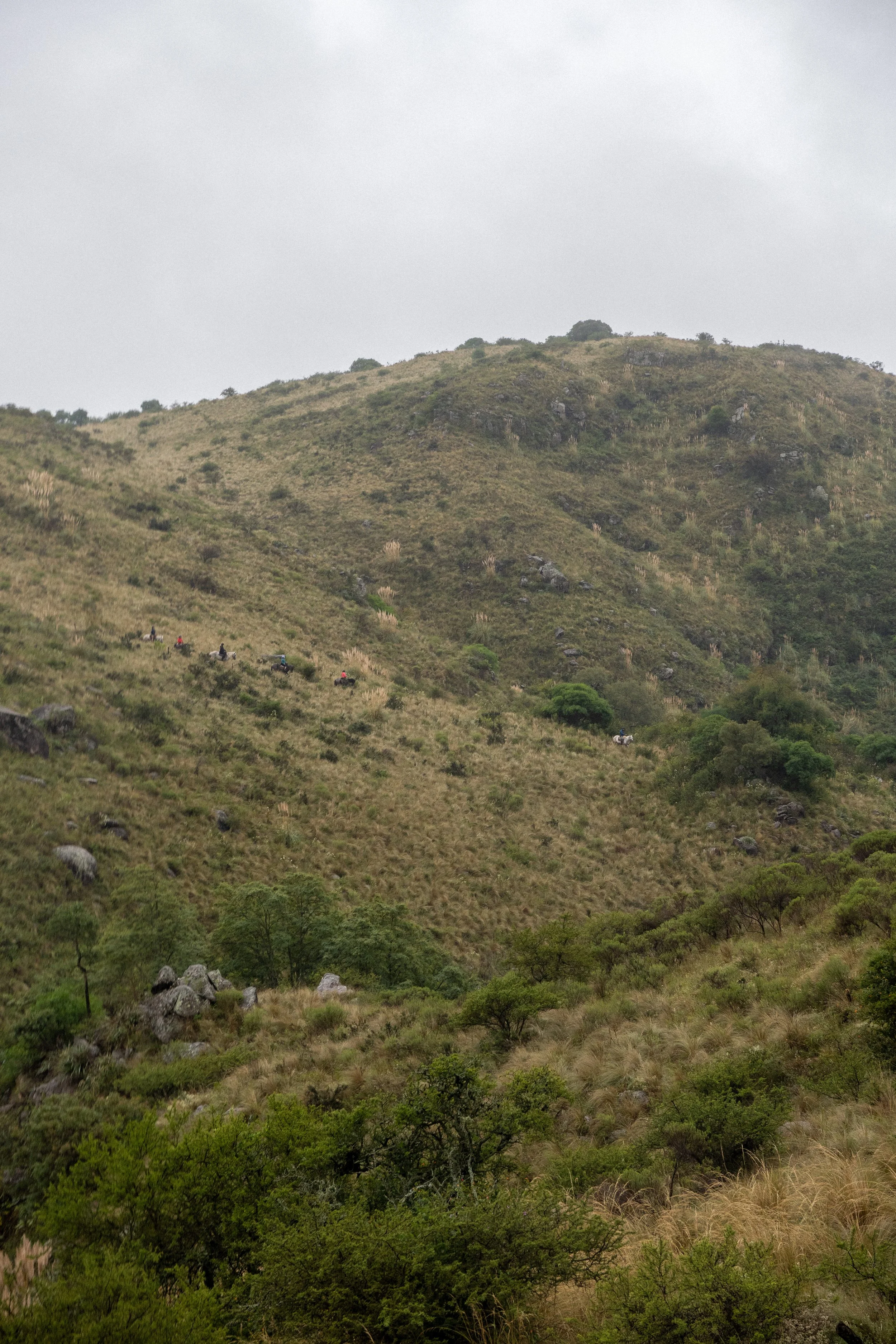 A hilly landscape with sparse greenery, small trees and shrubs, and a cloudy sky.