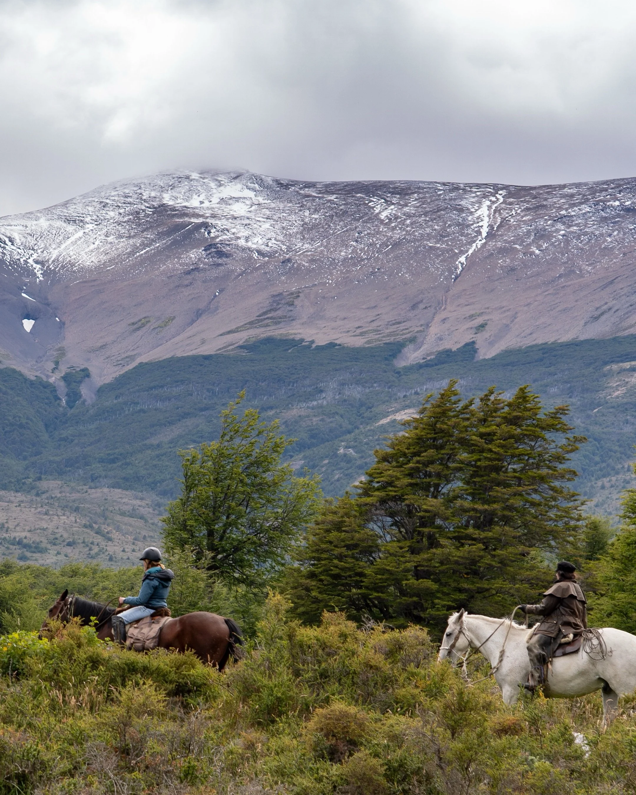 Field Note: Estancia Mercedes I

&ldquo;Some places feel made for riding. 

Estancia Mercedes is one of them &mdash; where the landscape shifts from open bays and pebble beaches to centuries old forests and snow capped mountains. Days are shaped by t