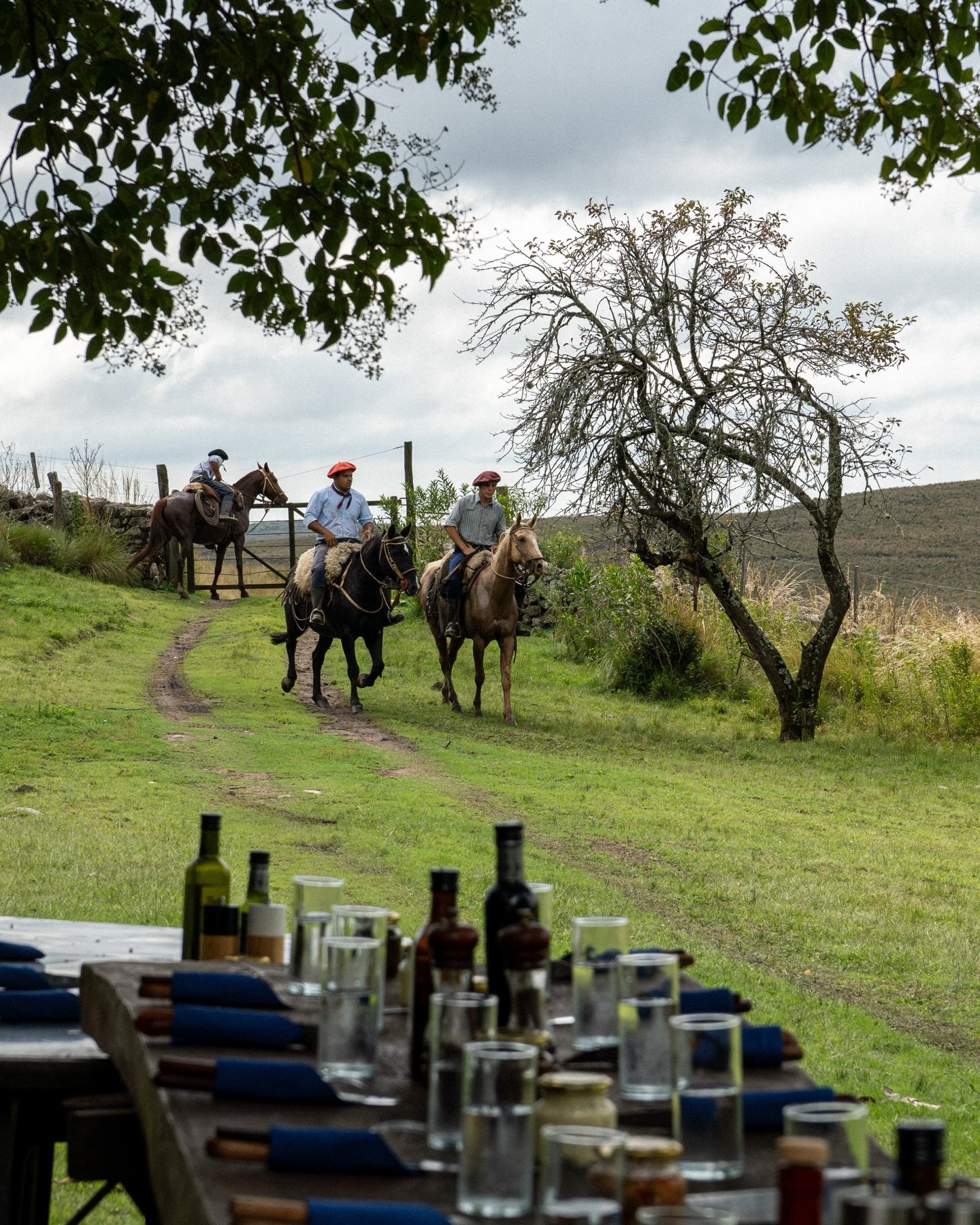 a picnic in the shade surrounded by horses after a morning of working cows - sign me up!

shot for @estancialospotreros 
photography @bykatieroberts