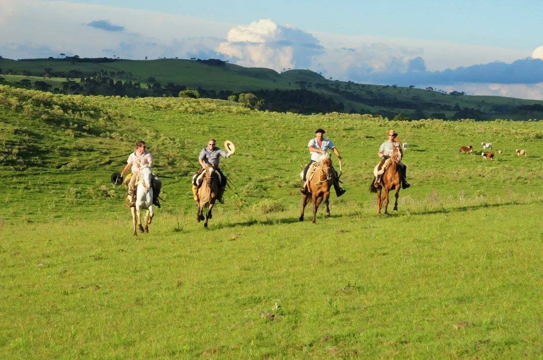 Four people riding horses across a lush green field with rolling hills and cows grazing in the background.