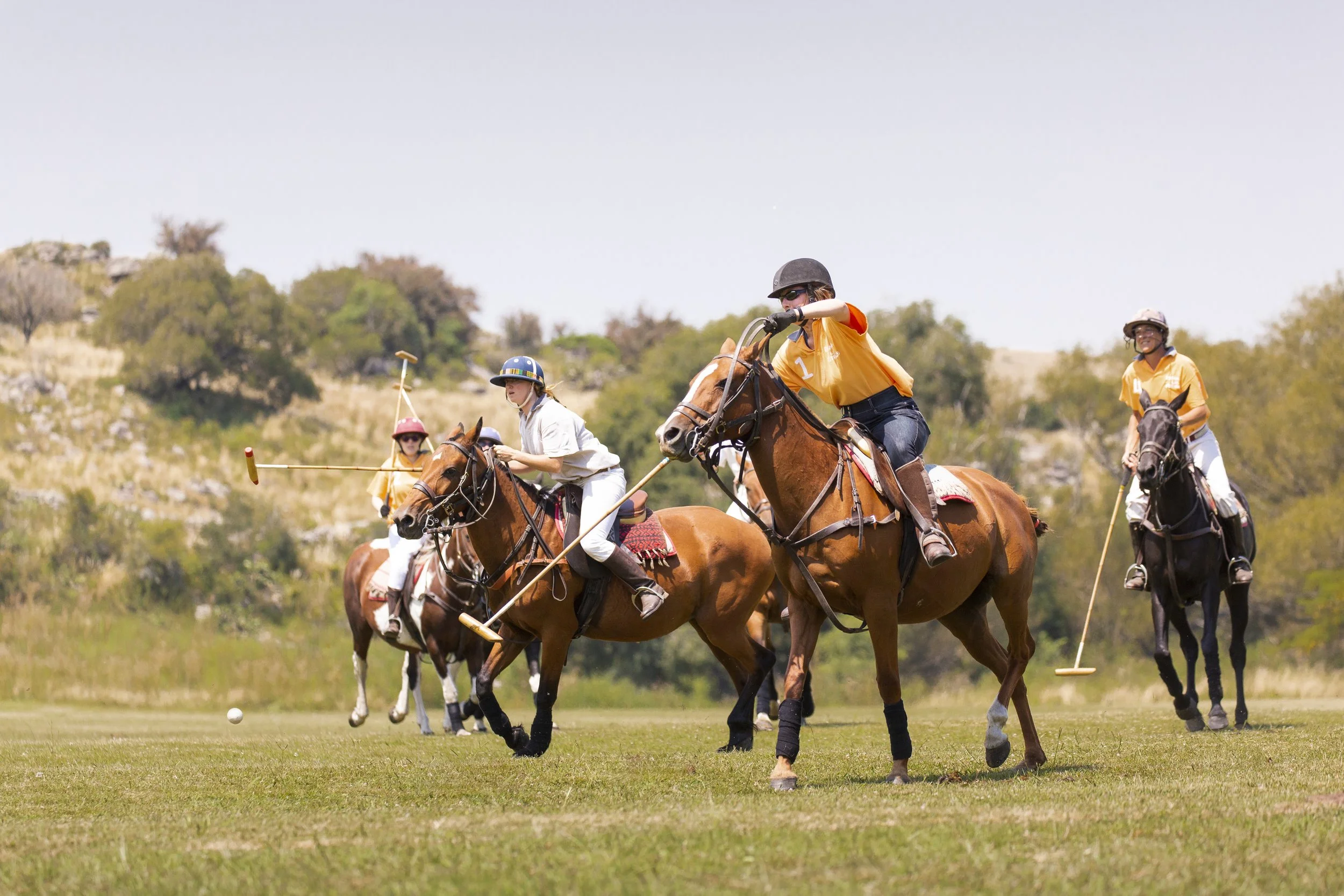 Group of people playing polo on horseback, wearing helmets and casual sportswear, on a grassy field with trees and hills in the background.