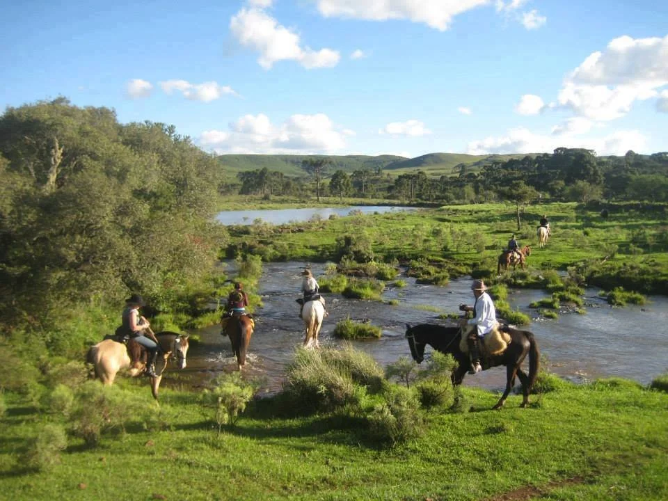 horseXperiencesBrazilHorseRidingHolidays_9.jpg