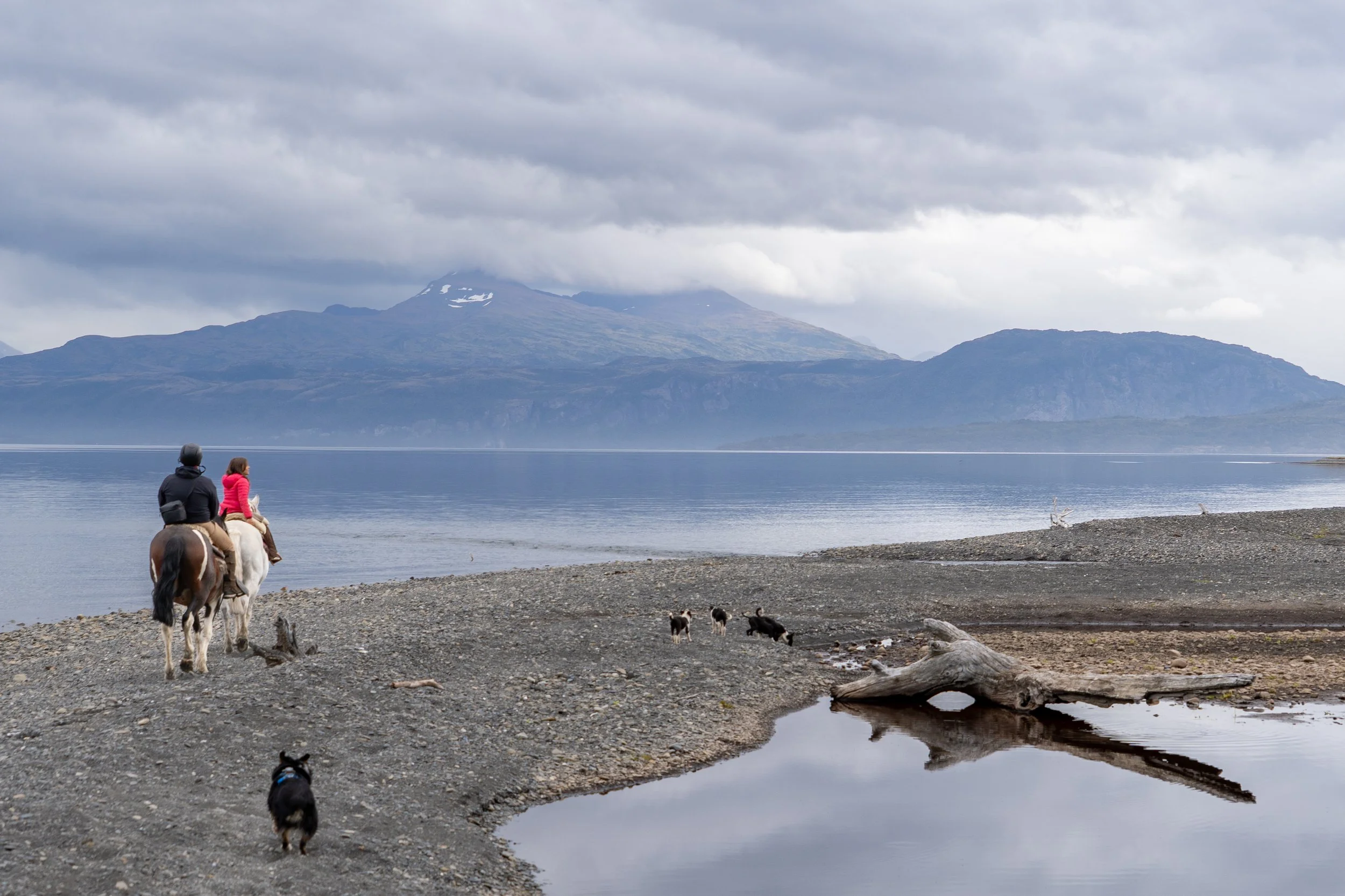 Two people riding horses along a rocky shoreline by a body of water with mountains in the background under a cloudy sky, accompanied by small dogs.