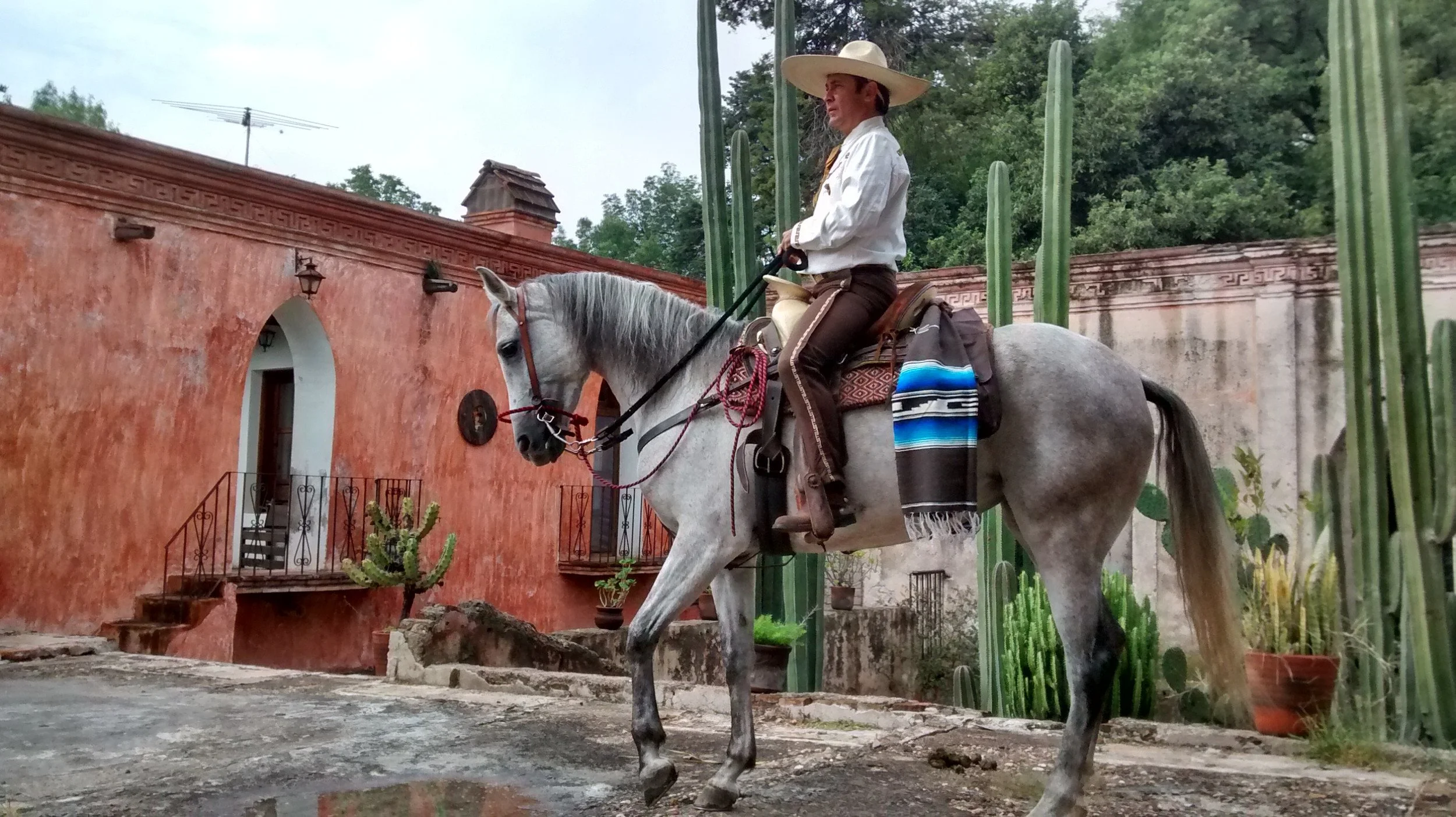 A man wearing a sombrero and traditional Mexican attire riding a white horse, with a red stucco building, plants, and green cacti in the background.