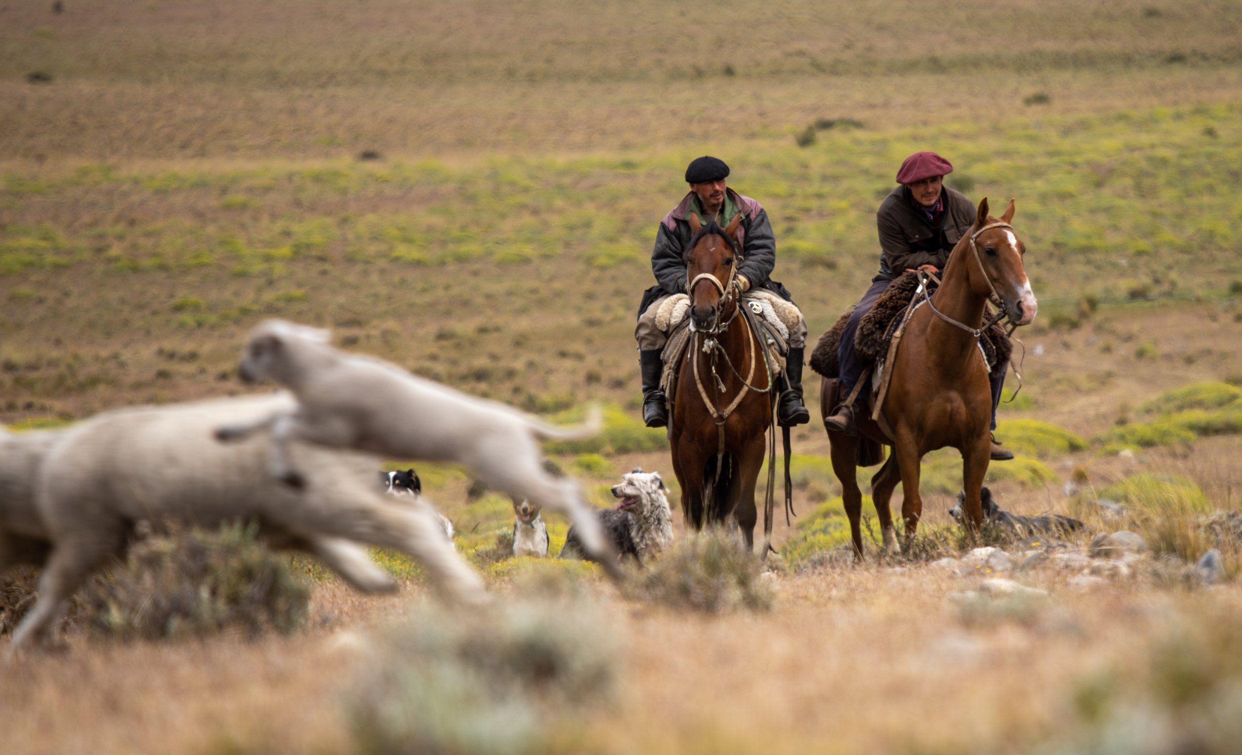 The Estancia (Ranch)_5.jpg