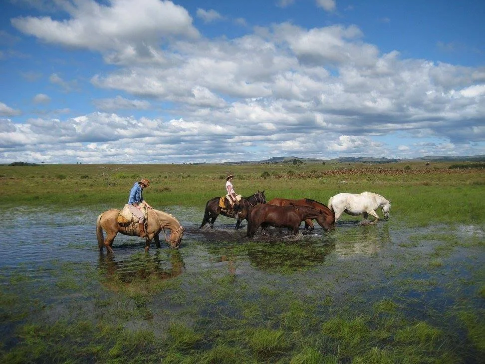 Two riders on horseback crossing a shallow water body in a grassy field under a partly cloudy sky.
