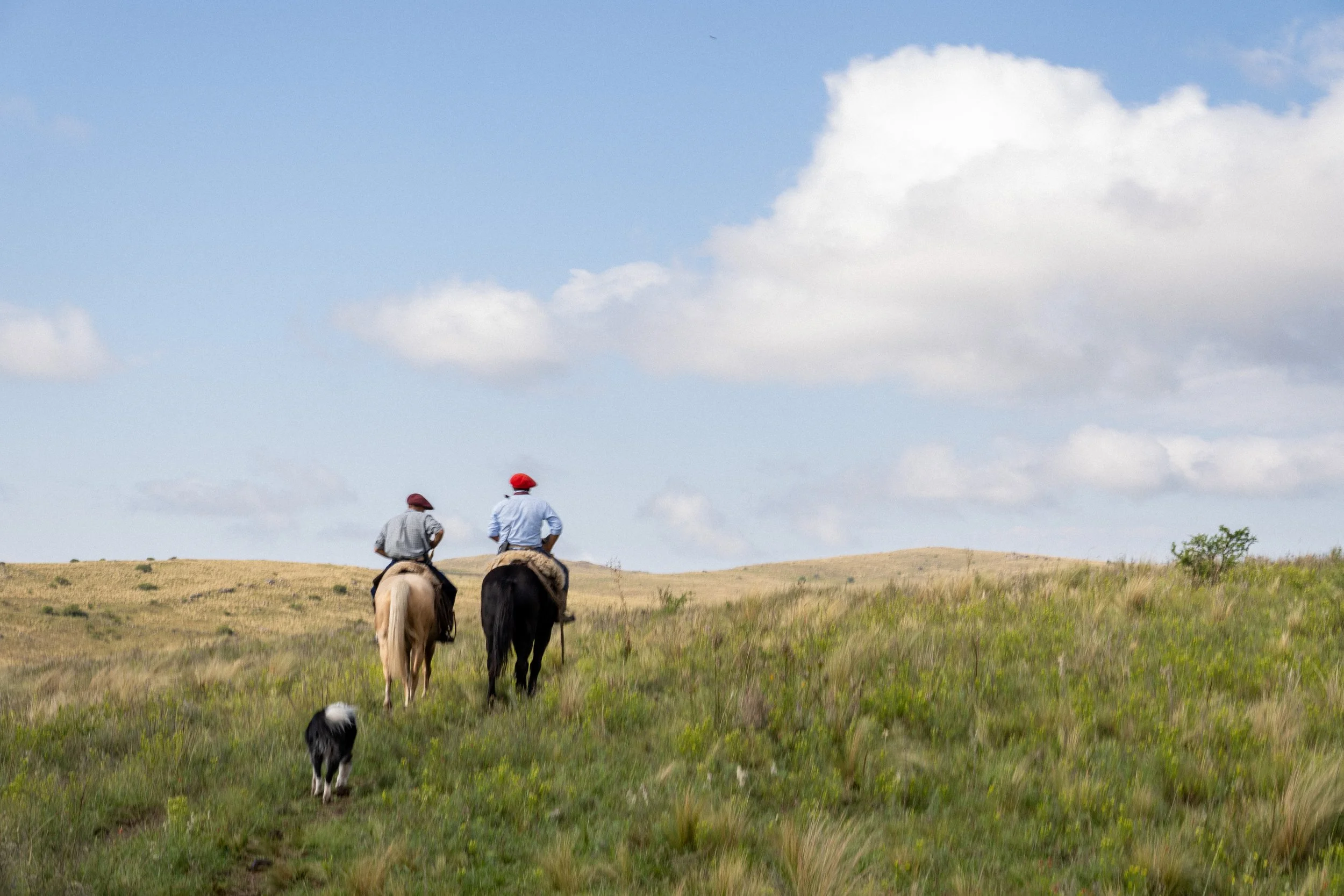 Two people riding horses through an open grassy field under a partly cloudy sky.