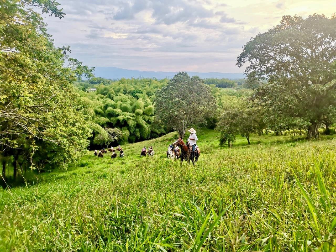 Person riding a horse through a lush, green pasture with other riders in the background, surrounded by trees and rolling hills under a cloudy sky at sunset.