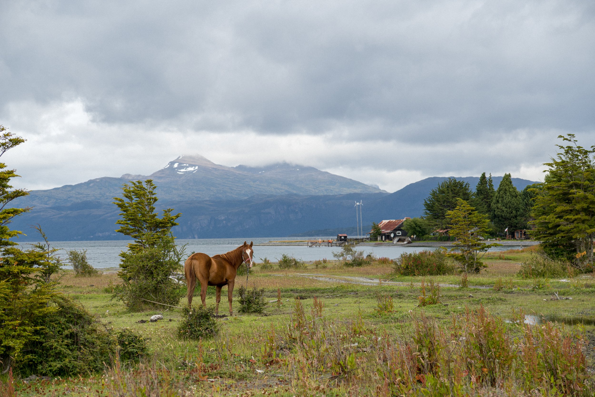A scenic landscape with a brown horse grazing on the grass near a body of water, trees, mountains with some snow, and a cloudy sky in the background.