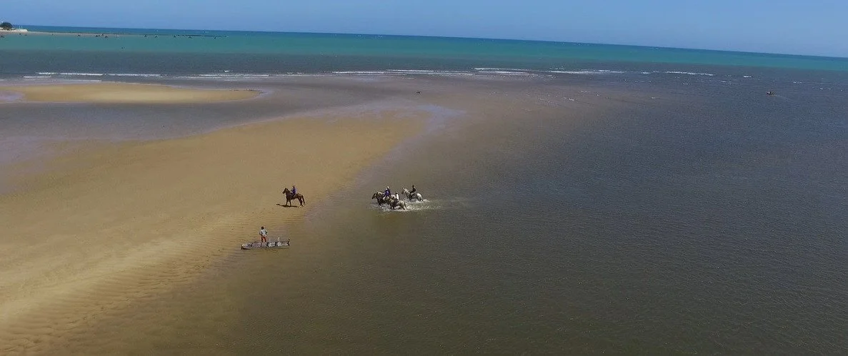 Aerial view of a beach with sand and ocean, featuring four people on horseback riding along the shoreline.