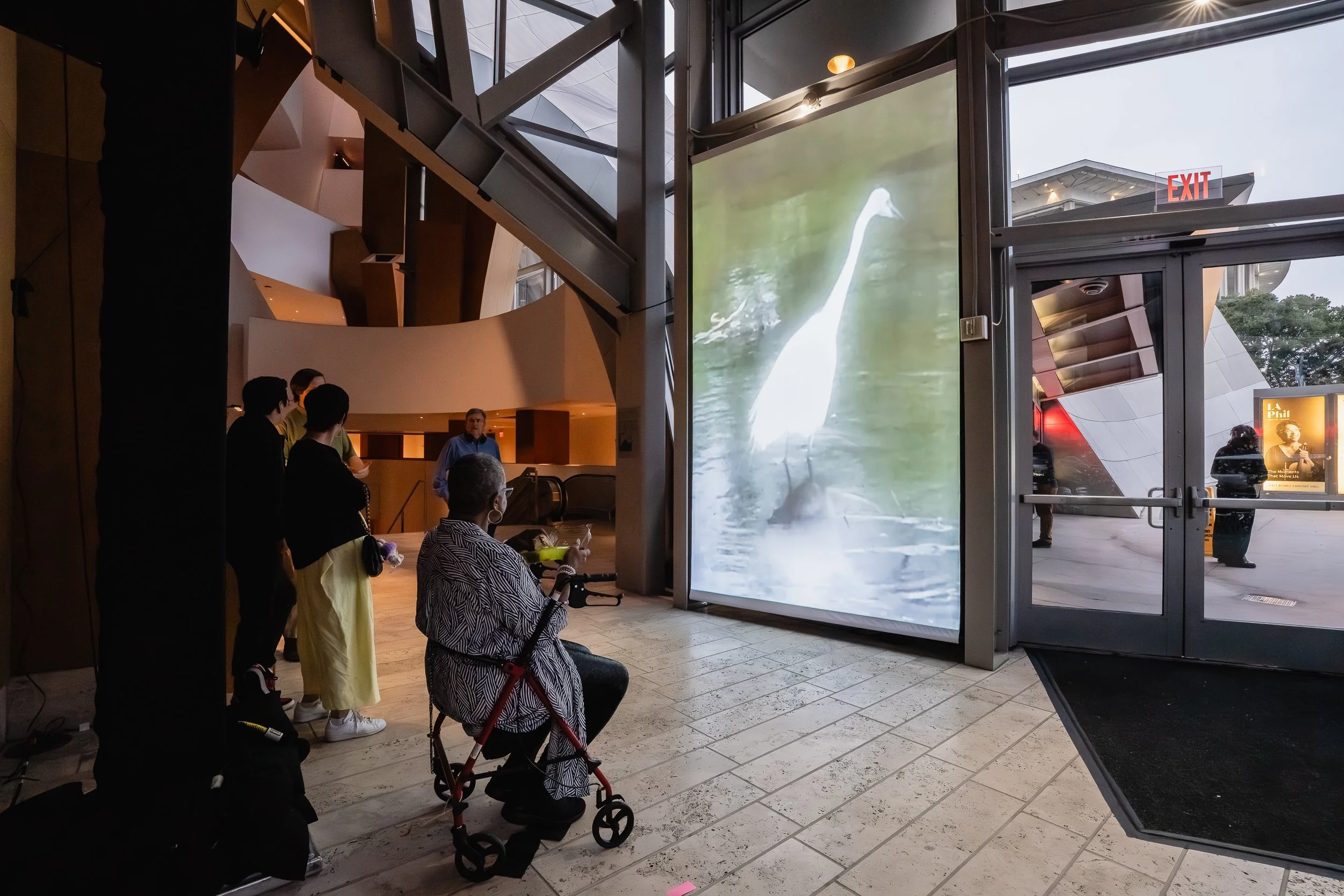 FSTOPwdch060325-4.jpg