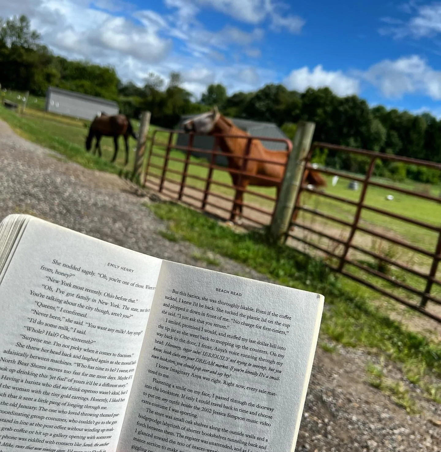 Took my own self care Sunday to @hhooves to read with their beautiful horses. Great book, great weather, great company! 🐴 📖 ⛅️