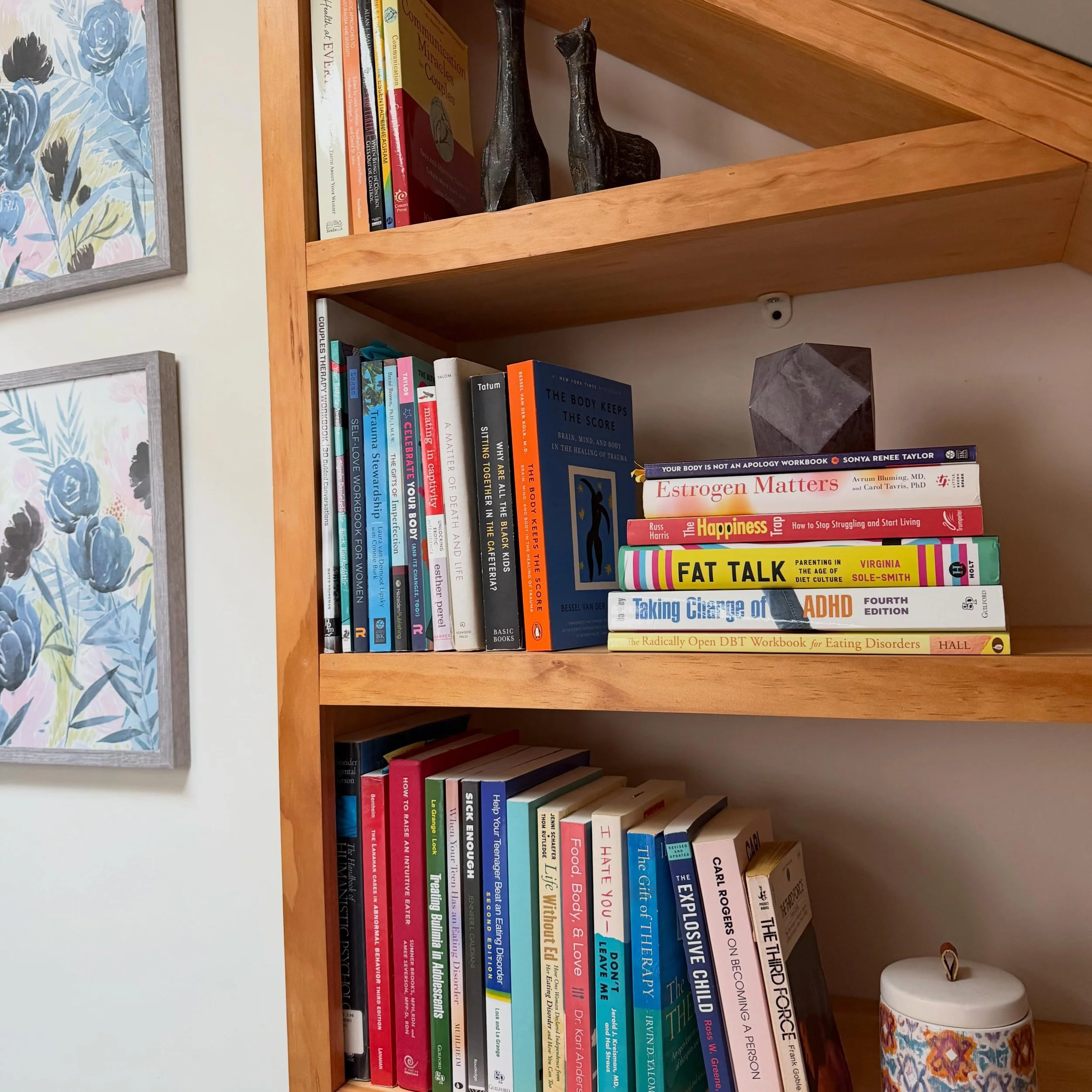 Therapist bookshelf
