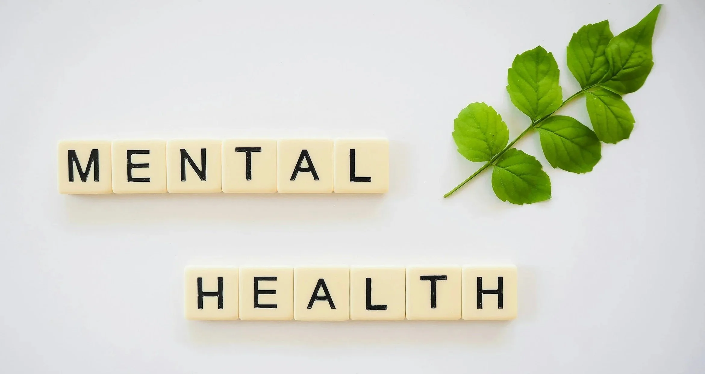 Scrabble tiles spelling 'MENTAL' and 'HEALTH' with a green leafy branch on a white background.