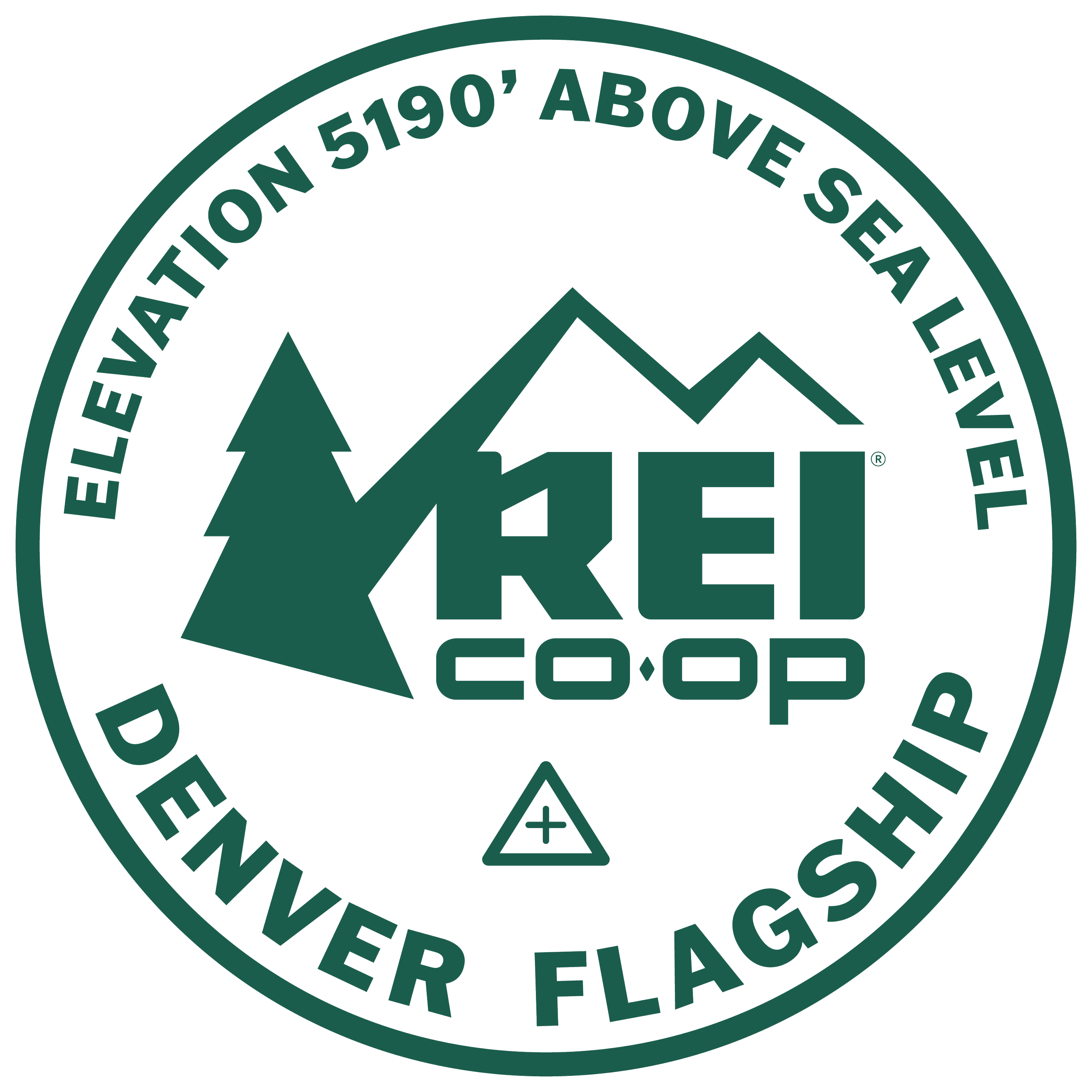 REI Denver Flagship - Custom Stardust Bag.png