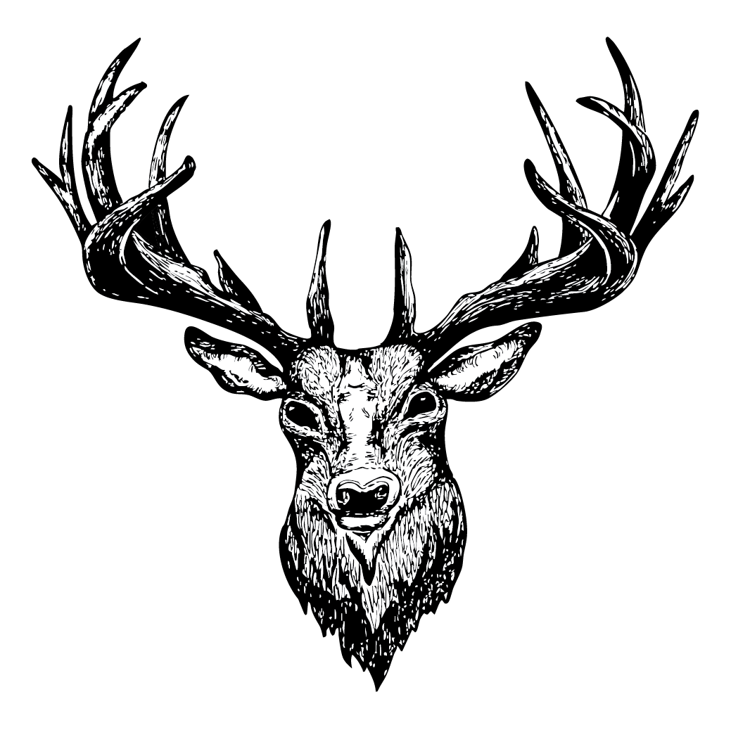 Forest Reign Sketch Series BnW - Oilrig Design.png