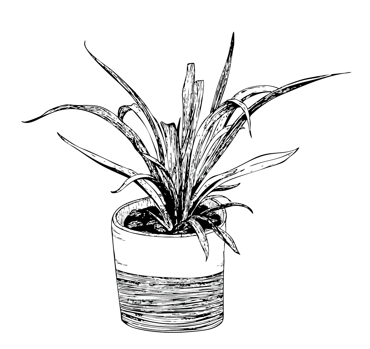 Two Toned Pot Sketch Series BnW - Oilrig Design.png