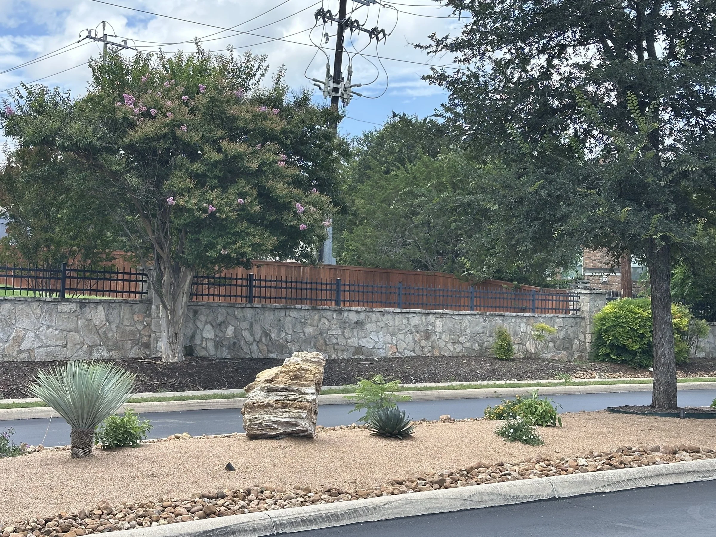 Drought-tolerant sotol and agave planting against a limestone wall in San Antonio