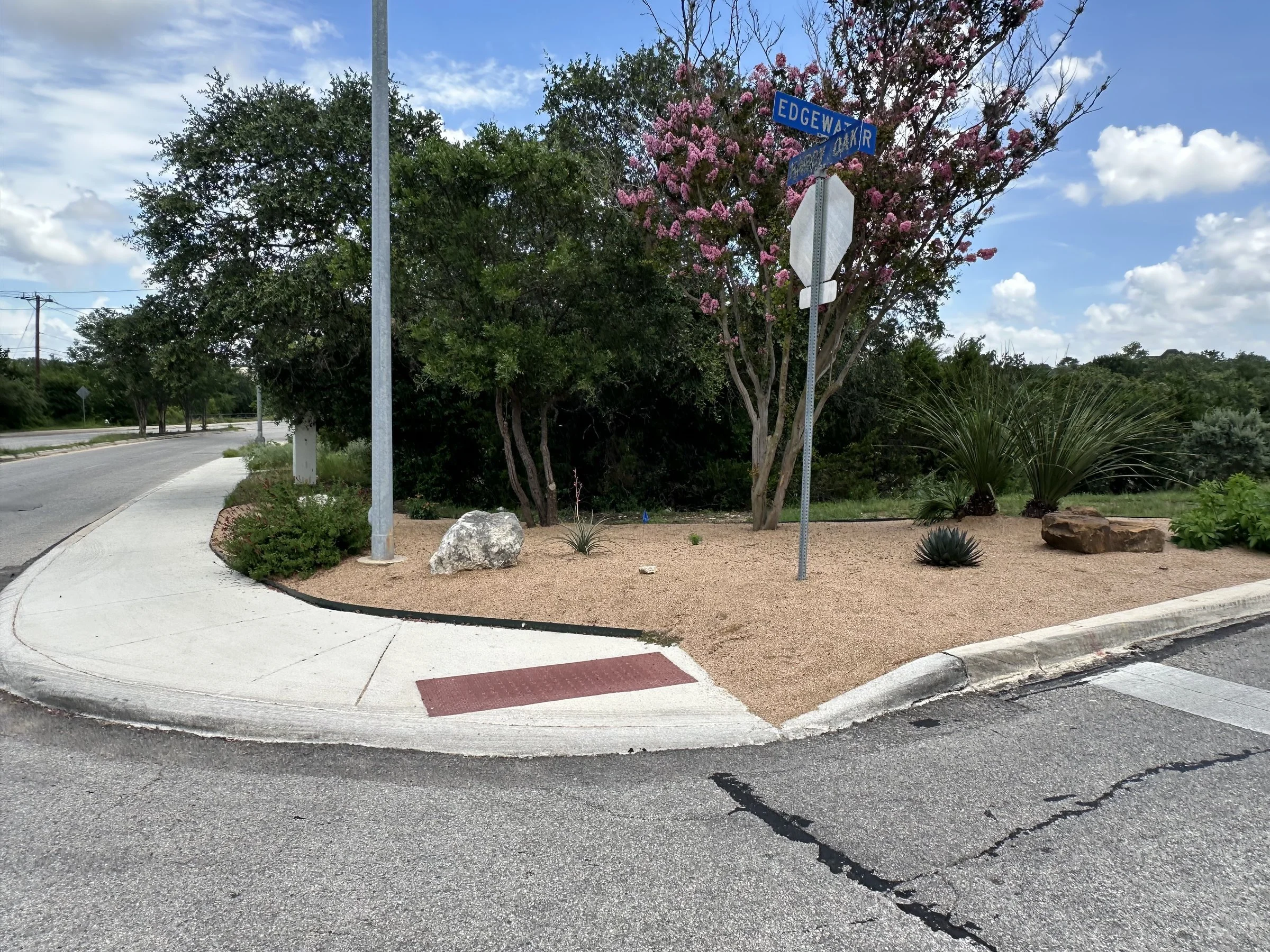 Same corner bed after maturing into a full xeriscape planting at the Heights at Stone Oak