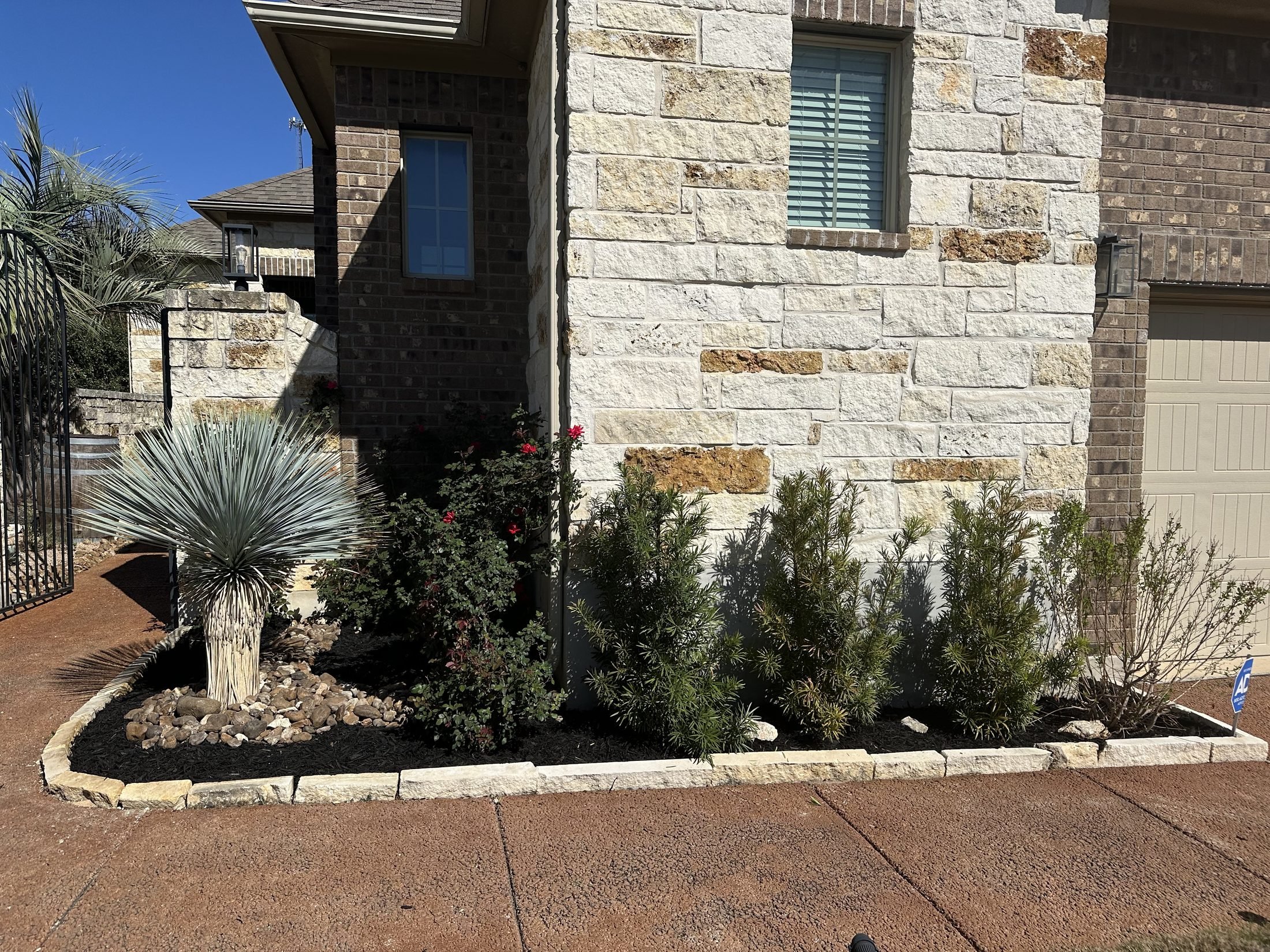 Established foundation plantings with yucca and stone edging at a San Antonio home