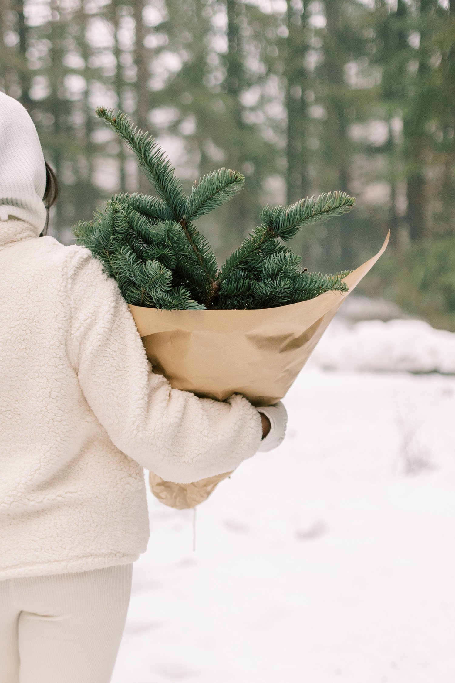 When the World Goes Gray, Add Green: How Bringing Nature Indoors Can Ease the Weight of Winter