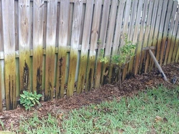 fence-water-damage.jpg