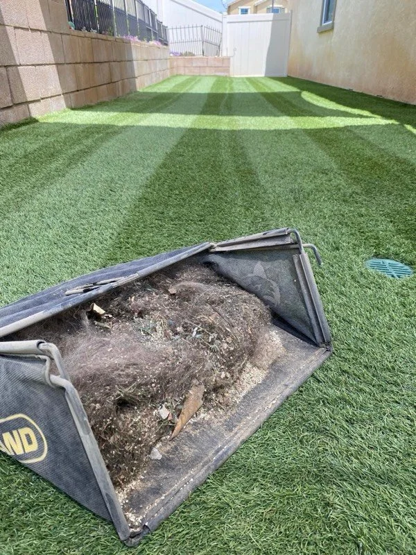 Turf Cleaning