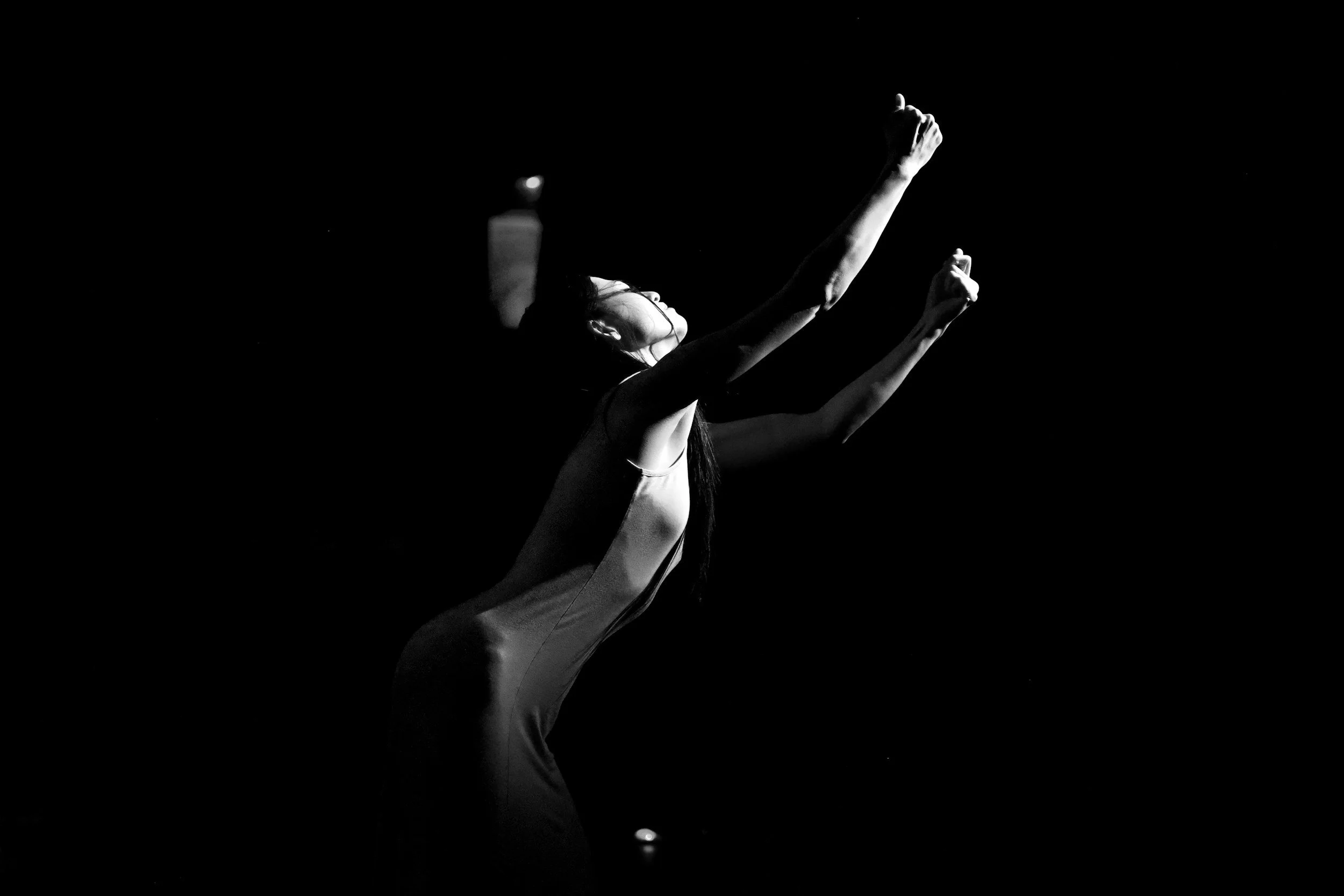 unsplash-image-1SUhVDr1pbA.jpg