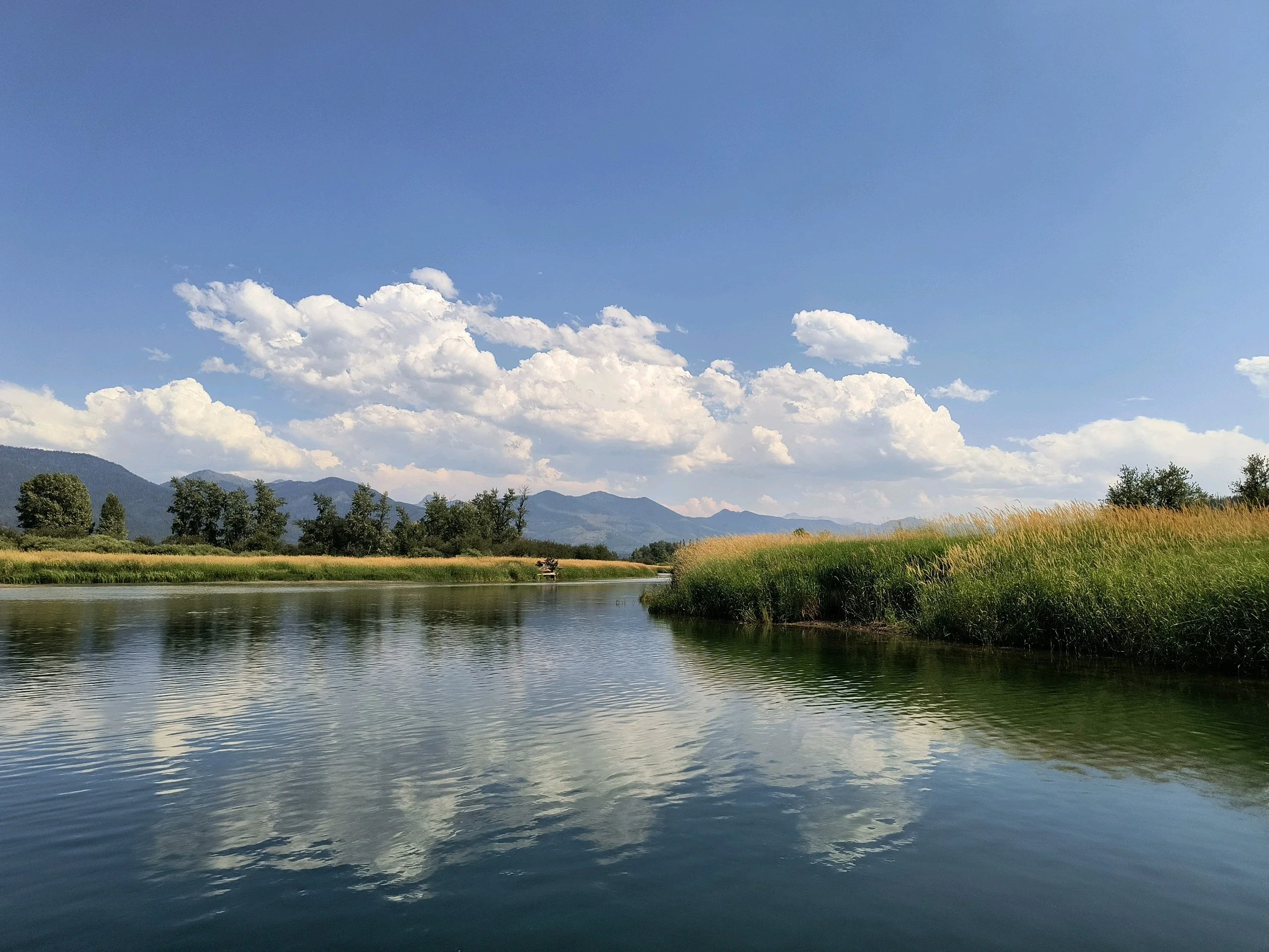 A peaceful landscape with a calm river, grassy shores, trees, distant mountains, and a partly cloudy sky.