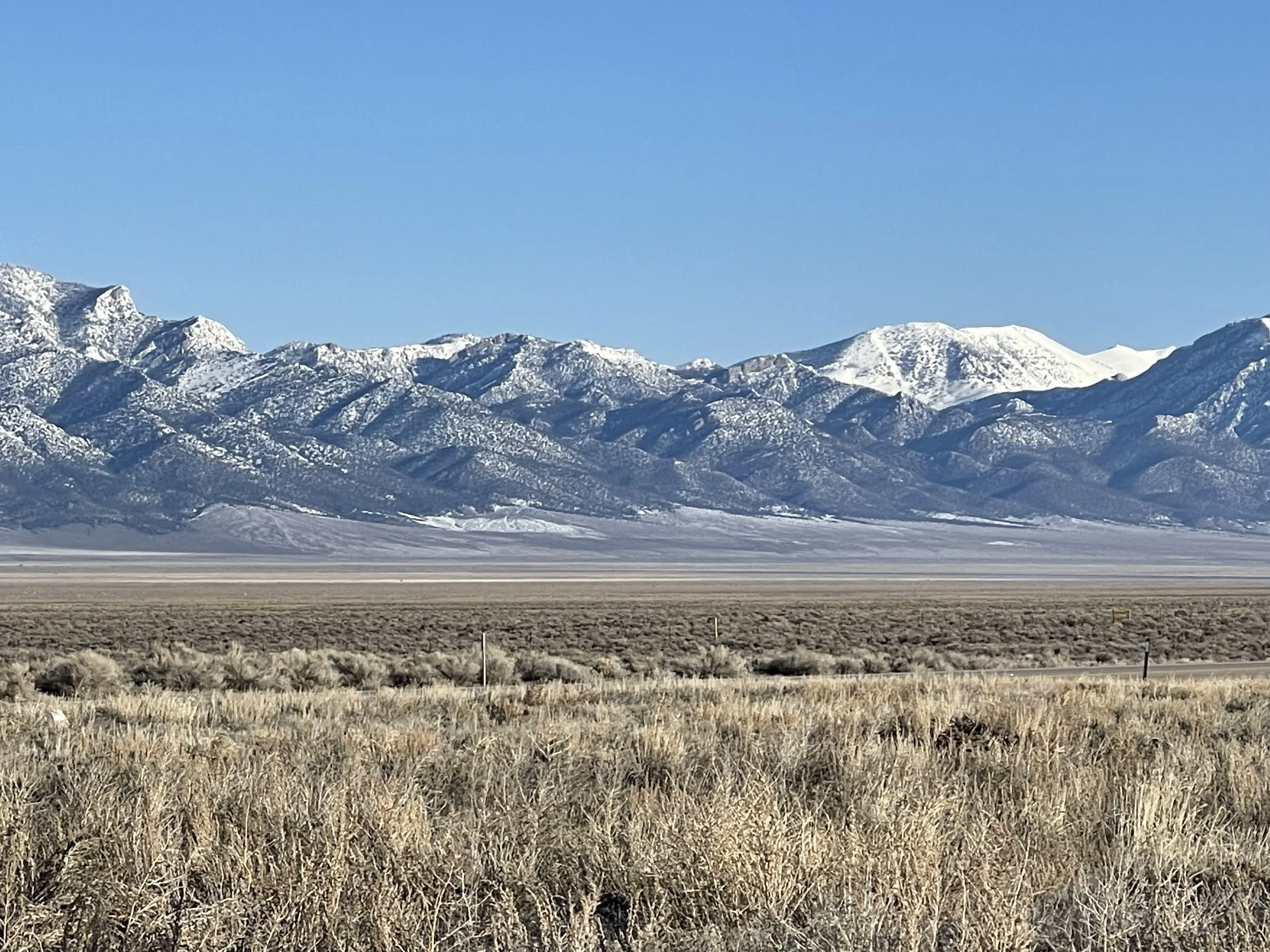 Snow-capped mountains under a clear blue sky, with a flat landscape and dry grass in the foreground.
