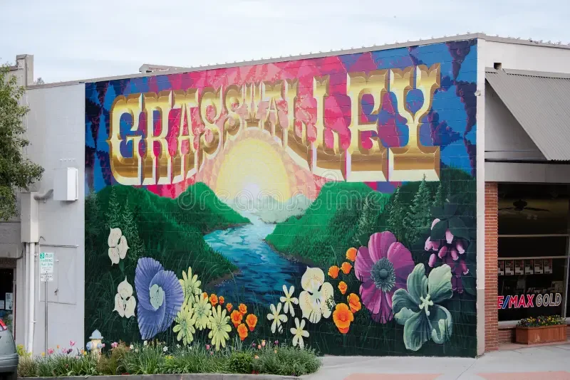 Grass Valley, CA, providing mobile advanced wound care & ostomy care, caregiver education, treatment of diabetic foot ulcers, multi-layer compression wraps, caregiver education & training, pressure ulcer prevention assessment, education and treatment