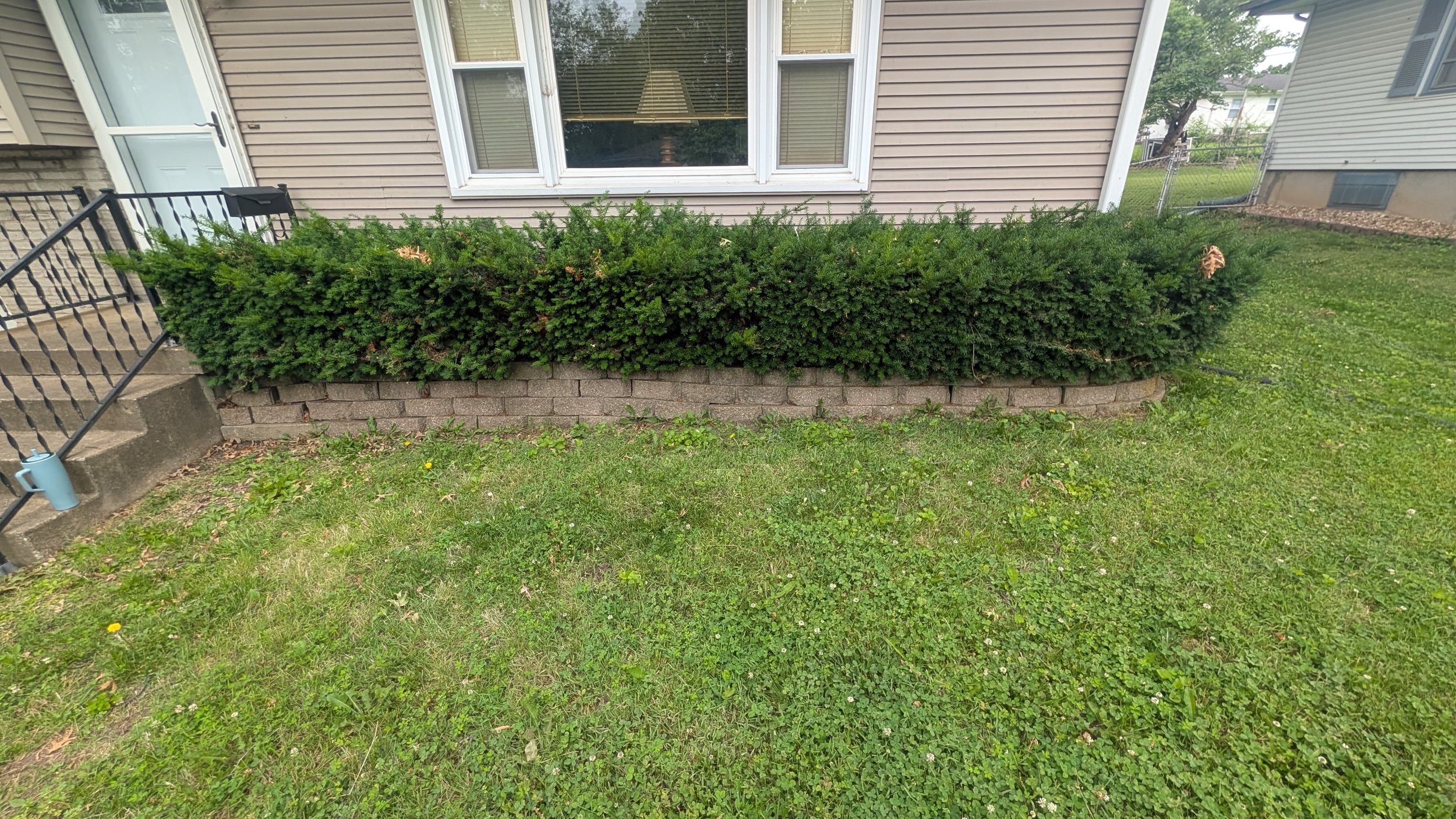 Before