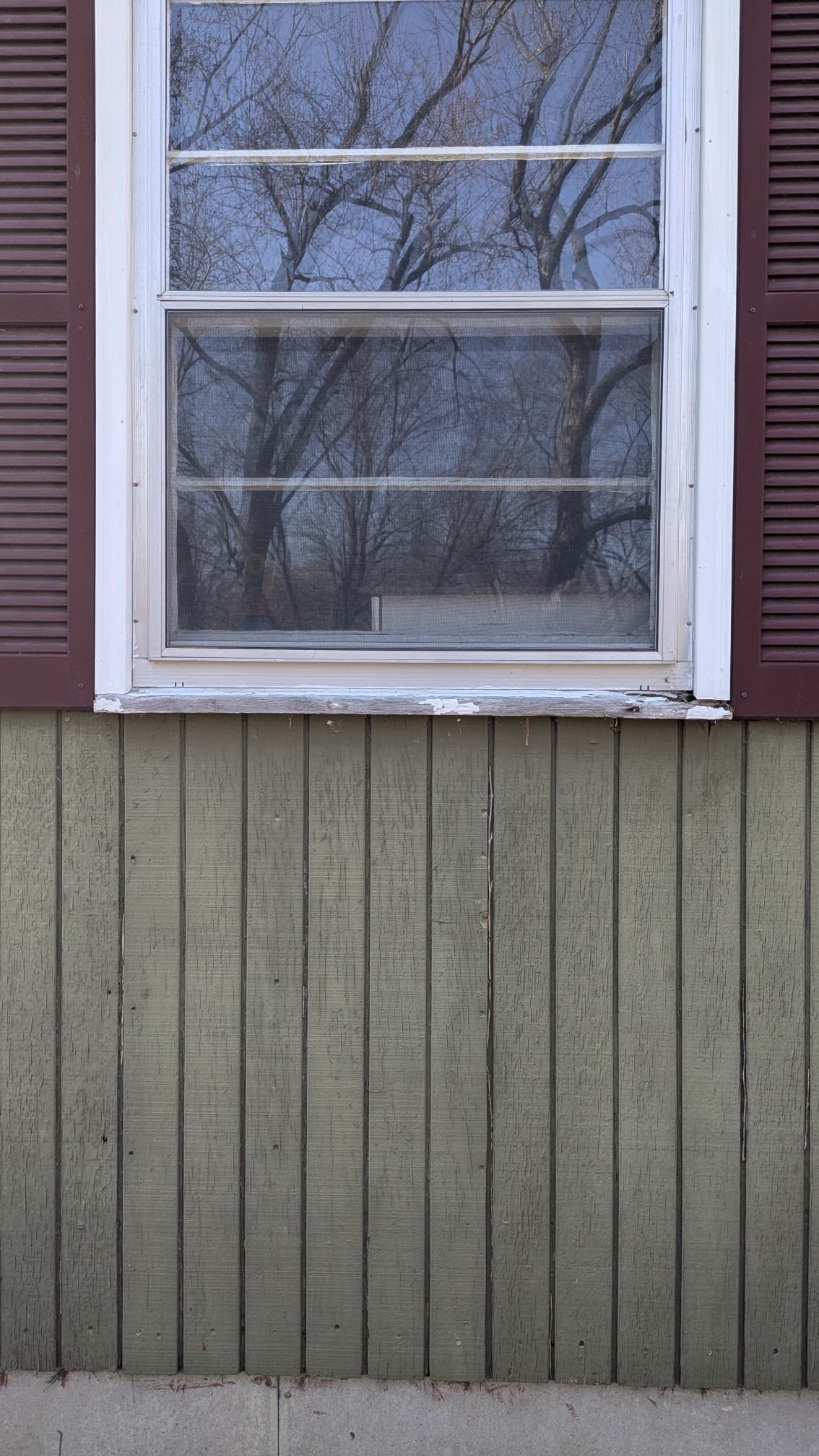 Before (woodrot)