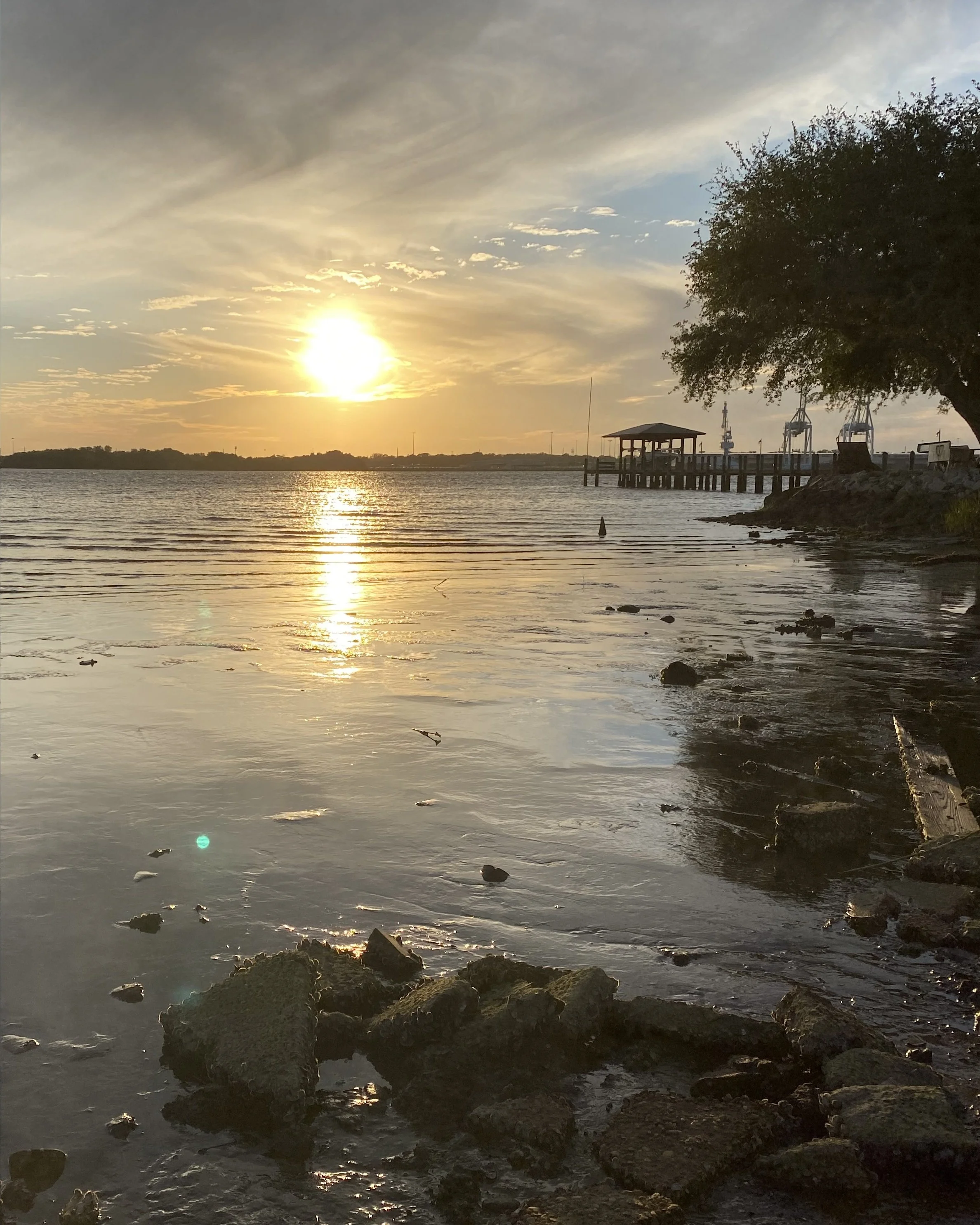 Sun setting over a body of water with a pier and a gazebo on the right, large tree, rocks in the foreground, and cloudy sky.