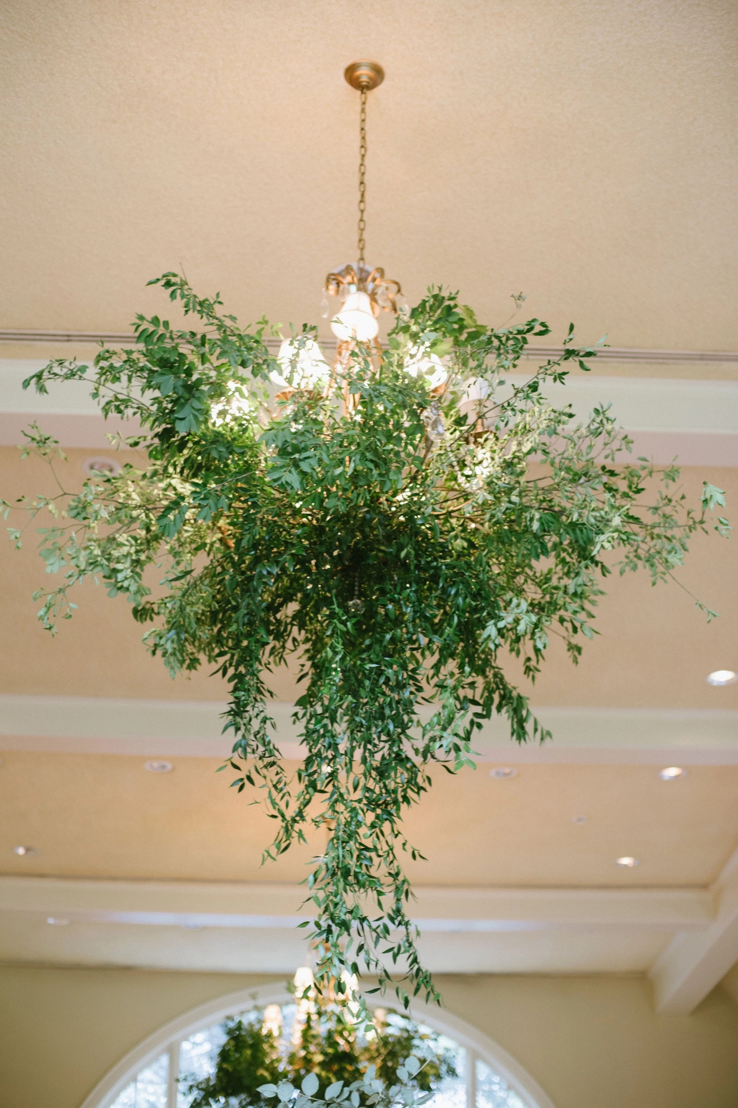 A large chandelier with decorative gold accents hanging from a beige ceiling, surrounded by hanging greenery.