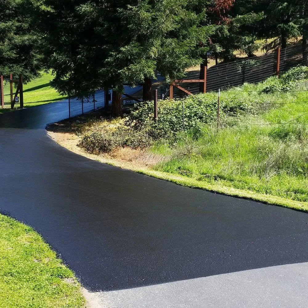 Newly paved asphalt driveway with a gentle curve, bordered by lush green grass and a fenced wooded area with tall trees.