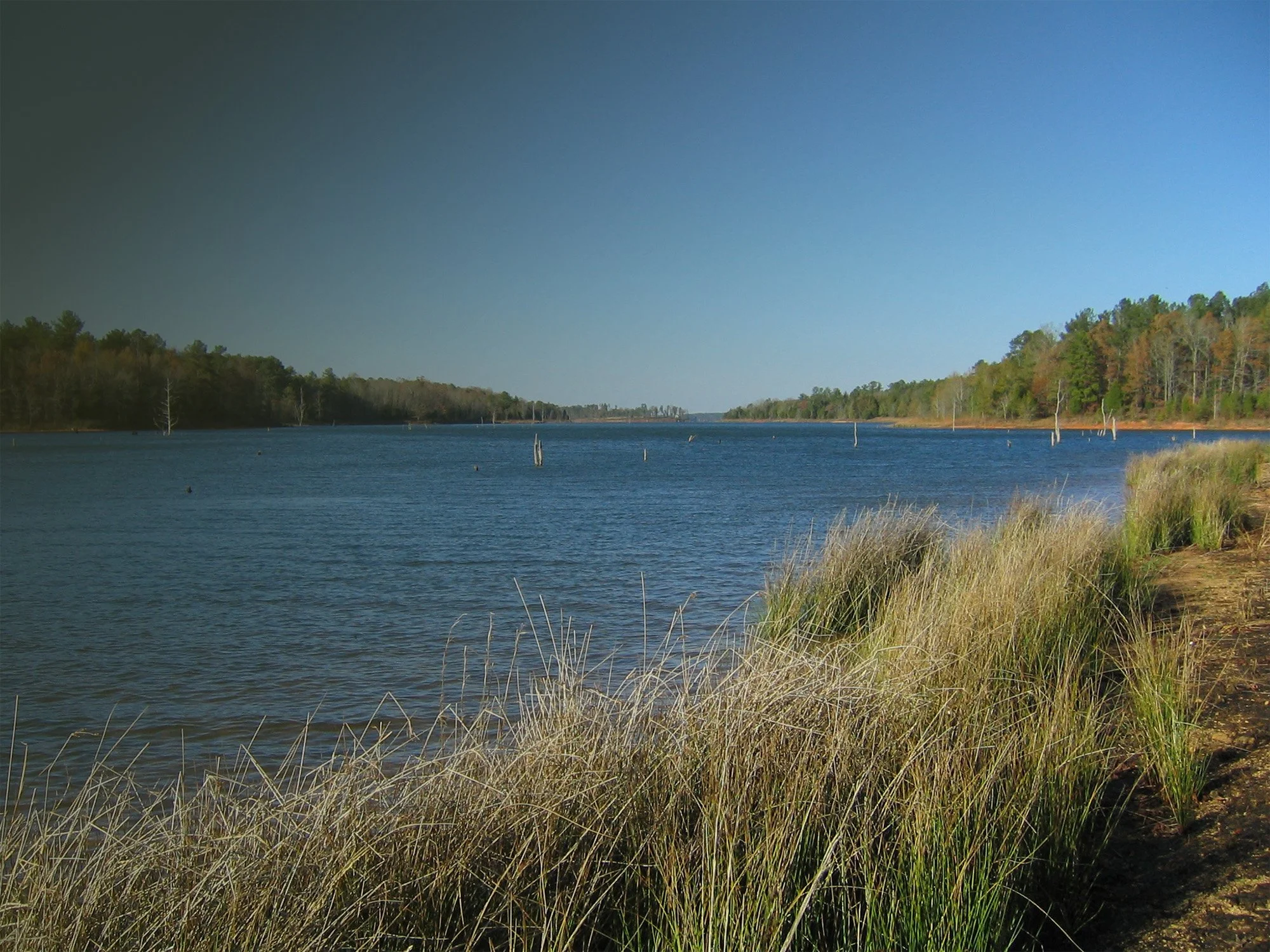 A calm body of water, possibly a lake or river, with a tree-lined shoreline on both sides and a clear blue sky above.