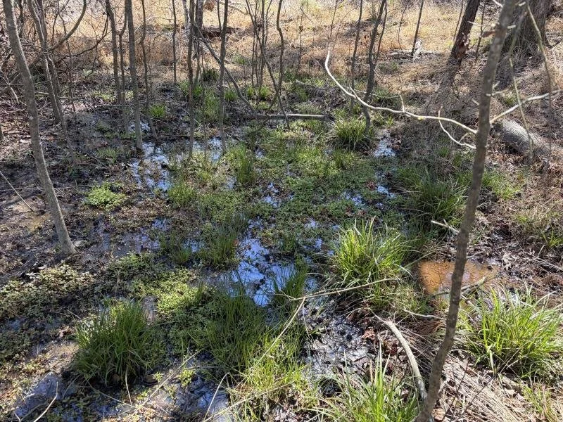Camp Daniel Marshall Rd.