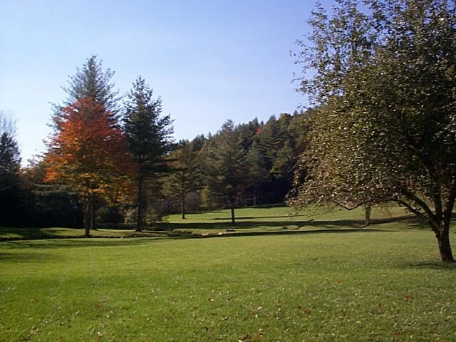 image14.jpg