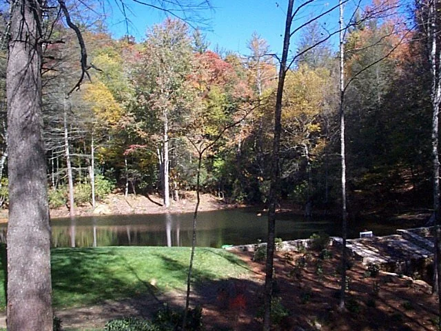 image15.jpg