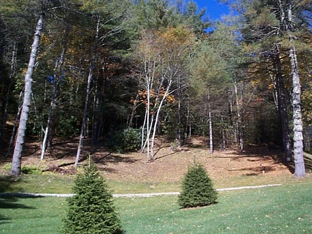 image21.jpg