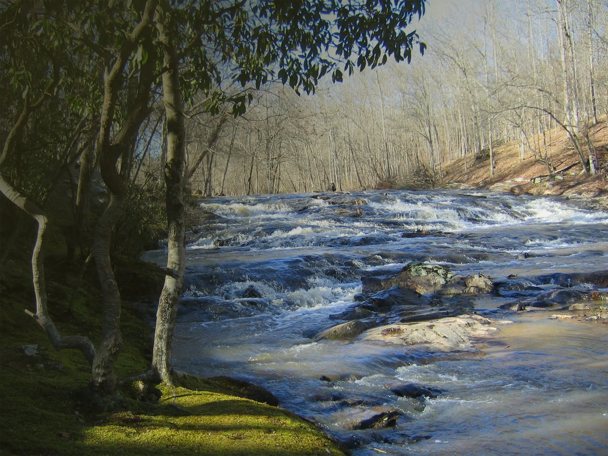 A flowing river through a wooded area with trees on both sides, some with bare branches and others with green leaves, under a clear blue sky.
